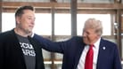 Elon Musk und Donald Trump