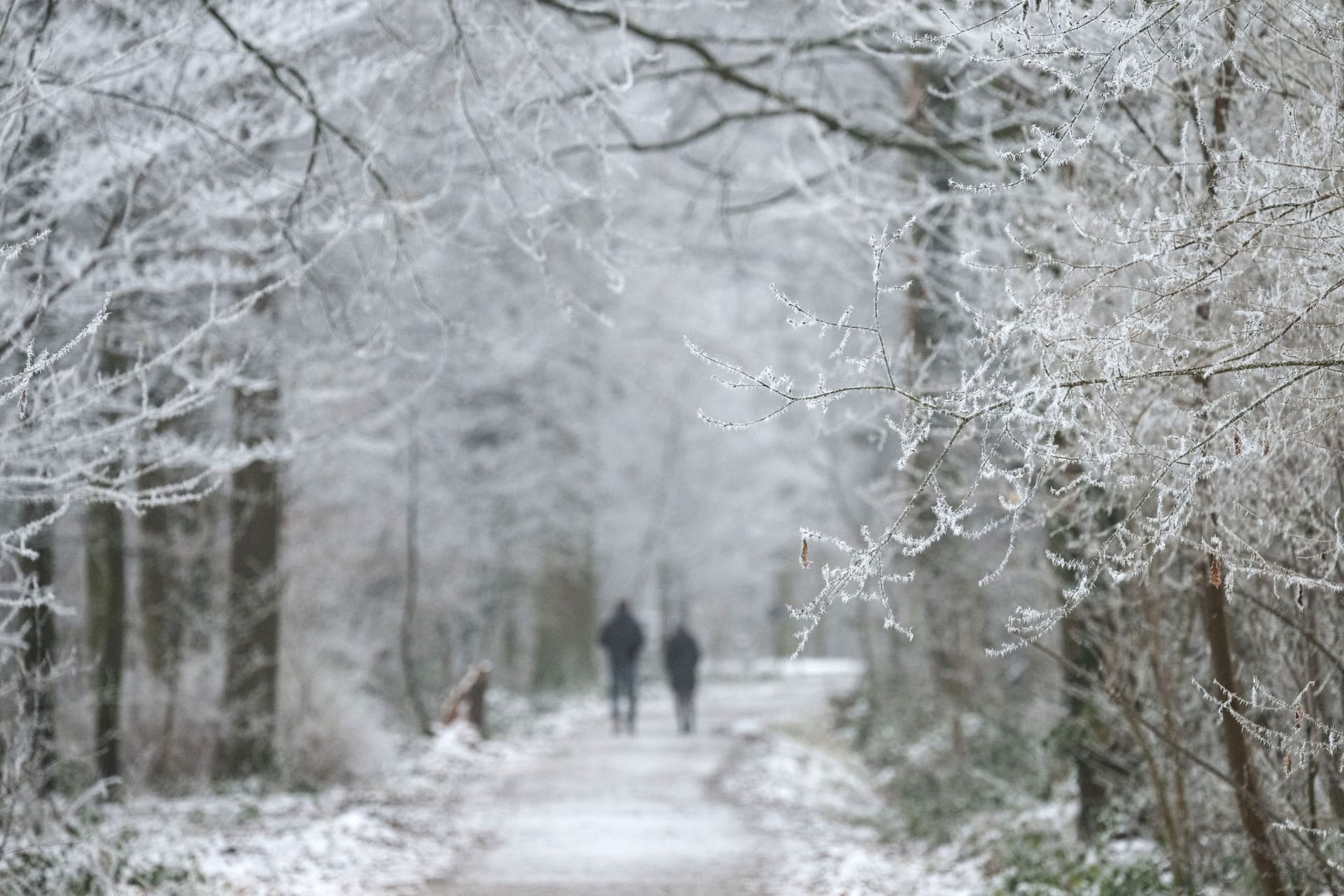 Winter in Stuttgart