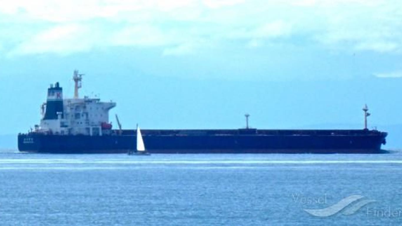 Der chinesische Frachter "Yi Peng 3": Öffentliche Daten weisen auf das Schiff als möglichen Verursacher der Kabelschäden hin.