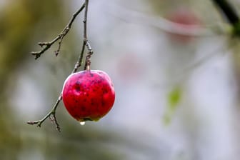 Wetter in Baden-Württemberg