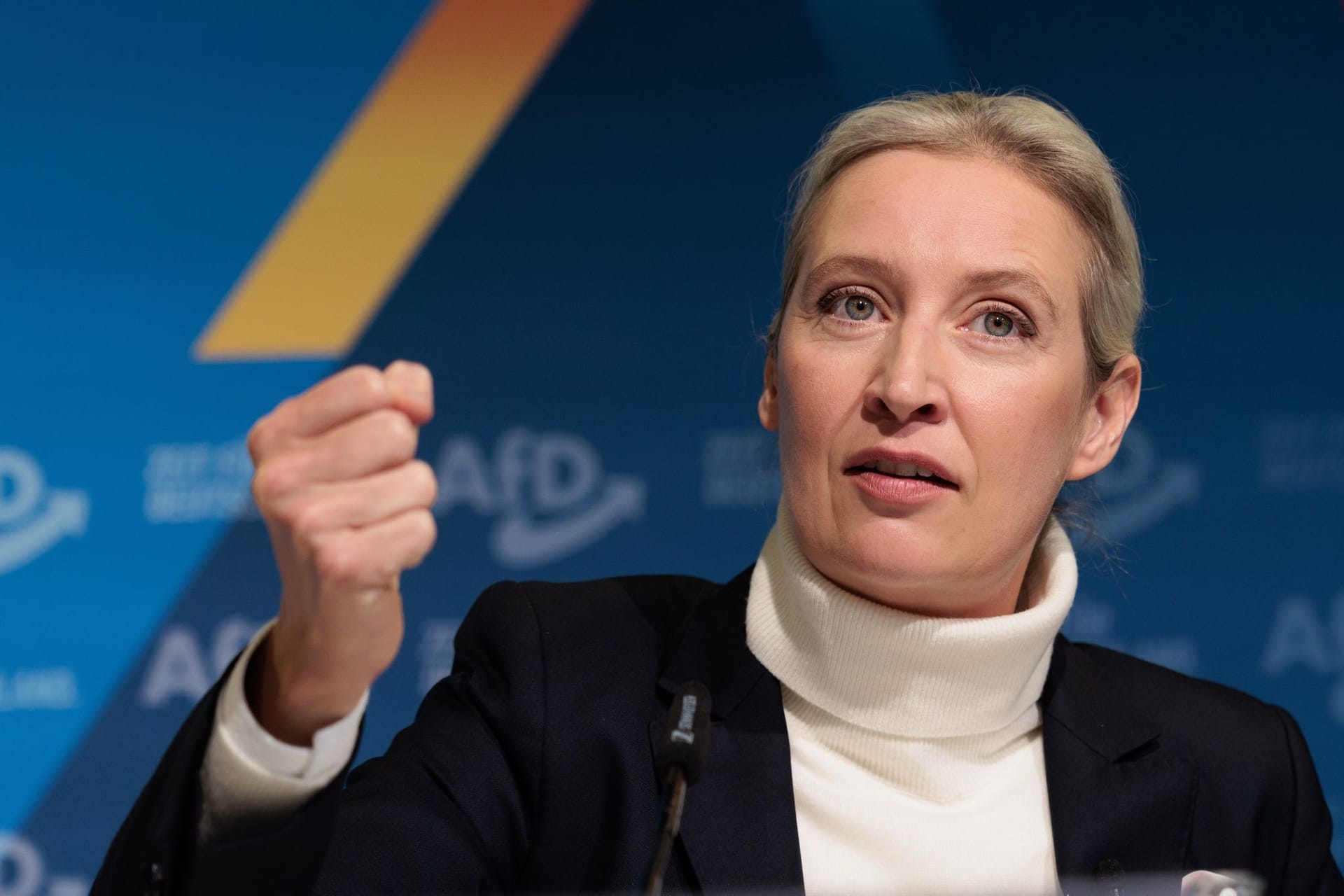 AfD stellt Kanzlerkandidatin vor