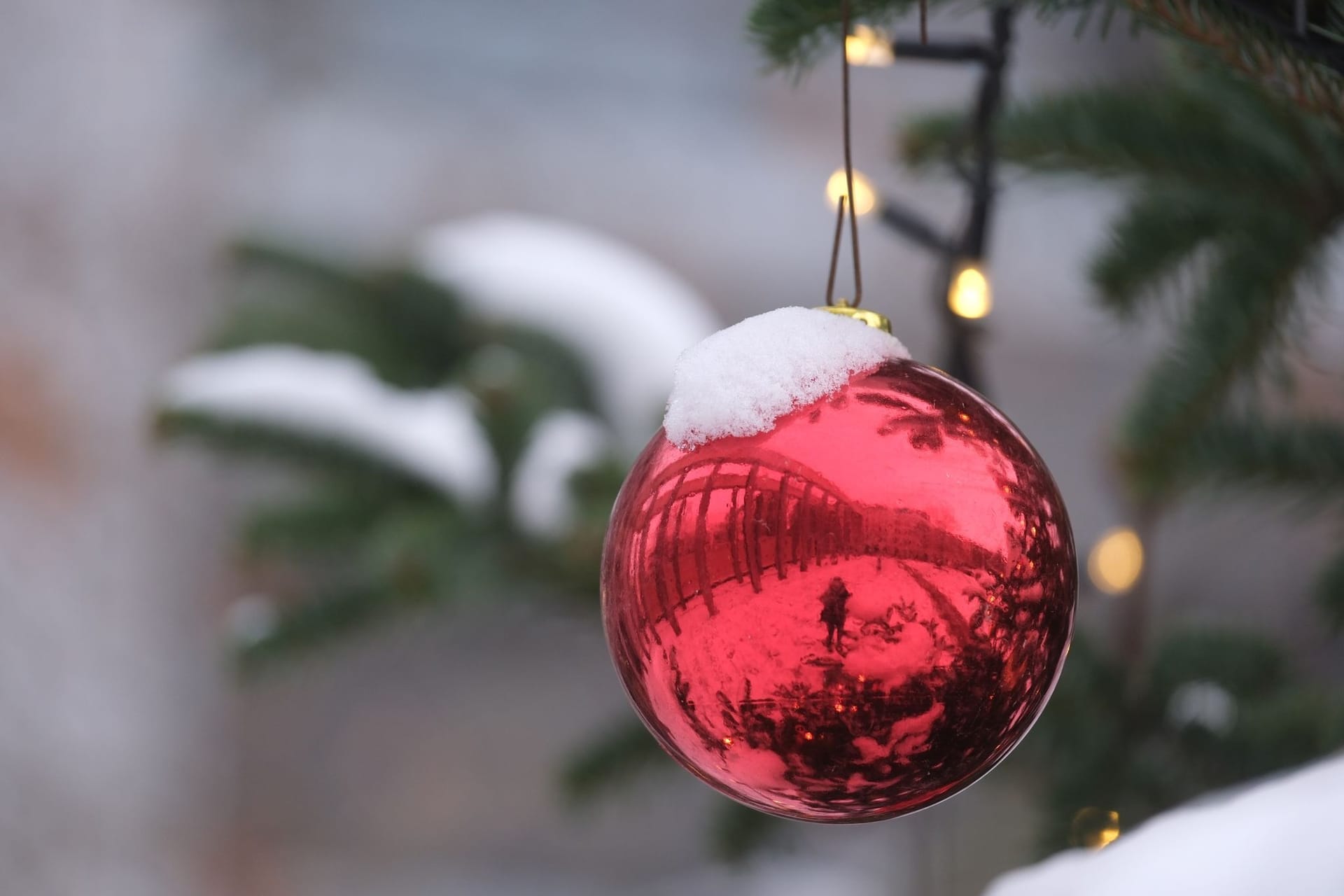 Schneebedeckter Weihnachtsbaum