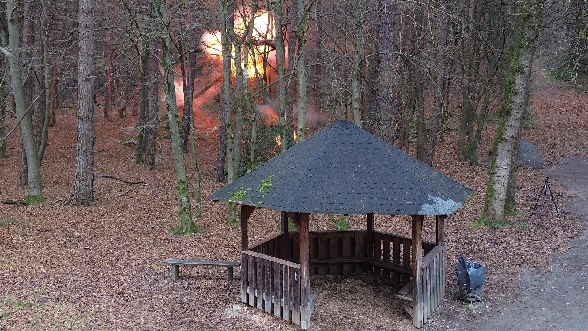 Im Wald ist die Explosion deutlich zu erkennen: Jedes Jahr treffen sich die Sprengmeister des THW-Ortsverbandes Düsseldorf im Wald.