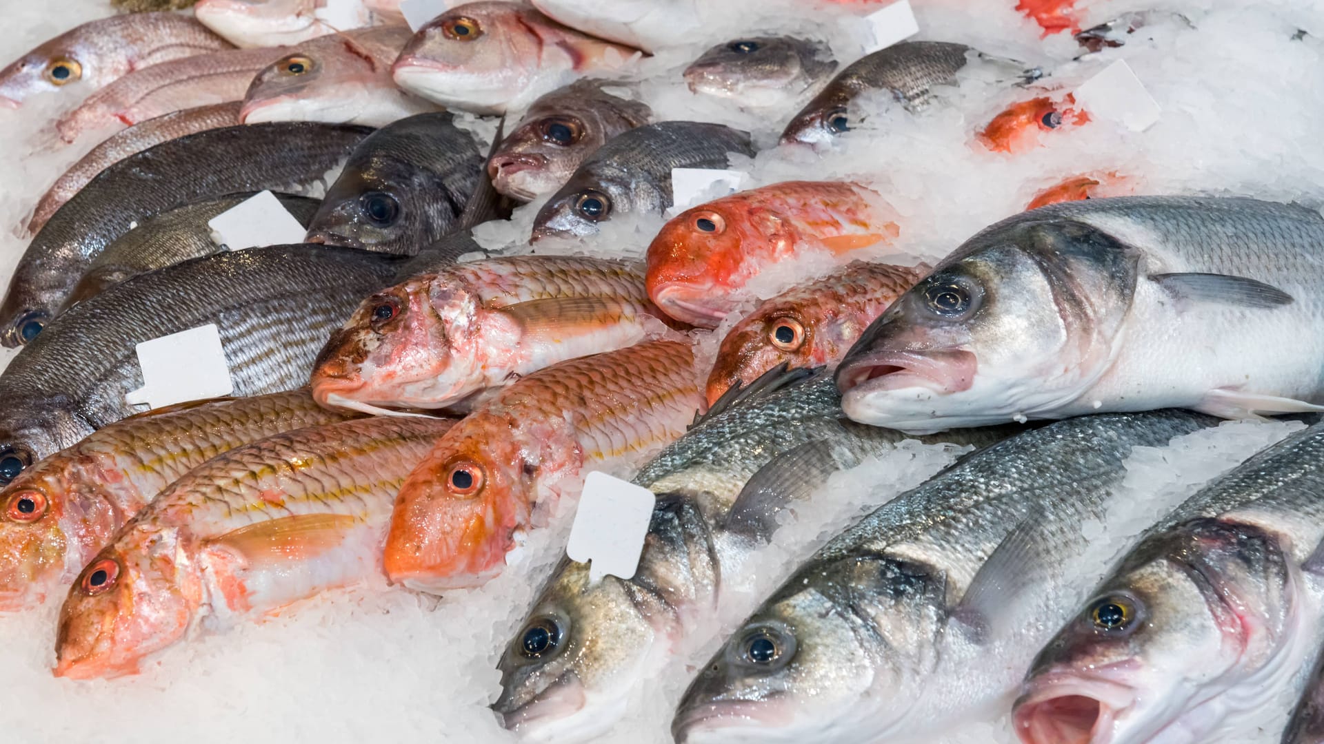 Frischer Fisch von der Theke: Fragen Sie nach Fangemthode und Fanggebiet.