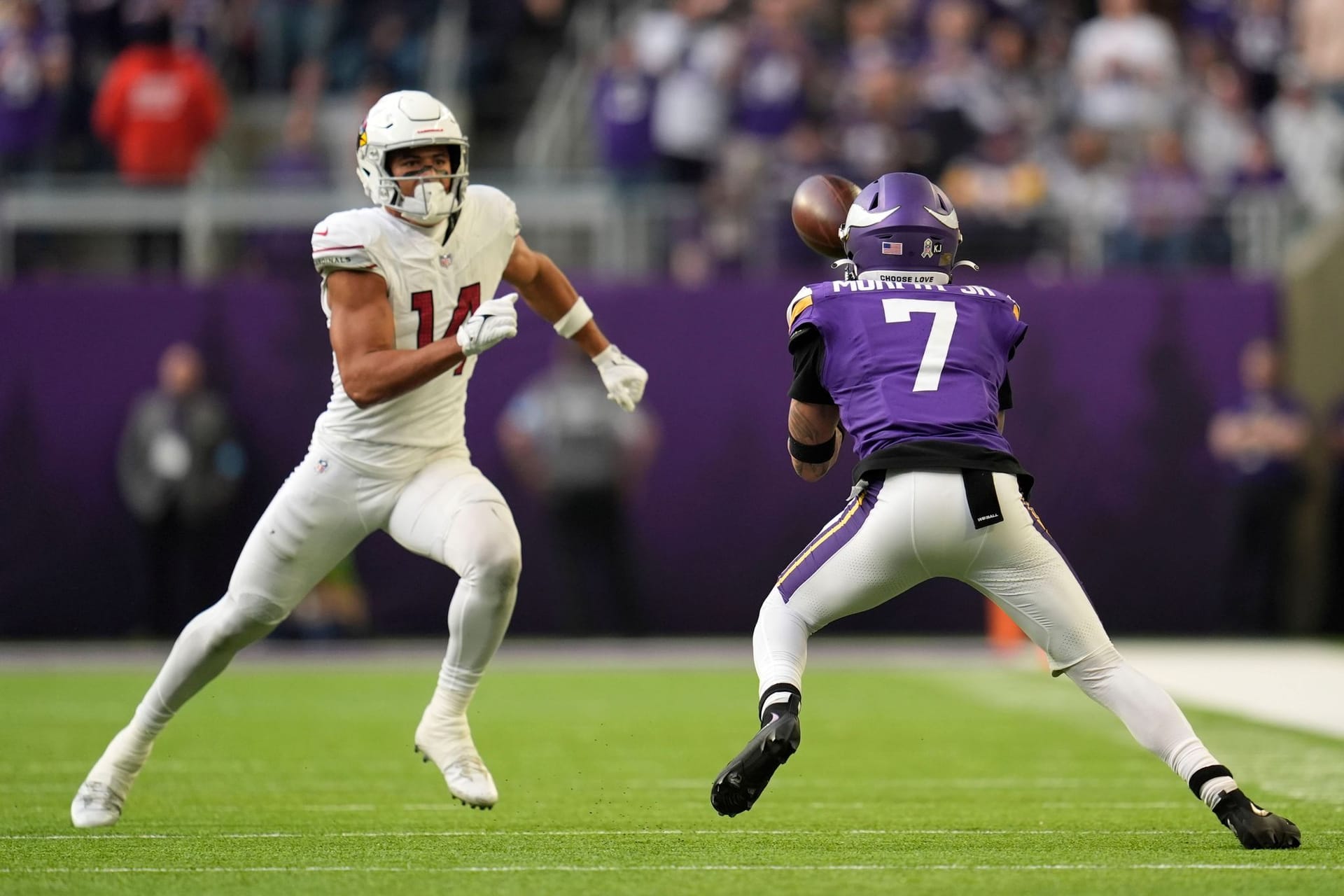 Minnesota Vikings - Arizona Cardinals