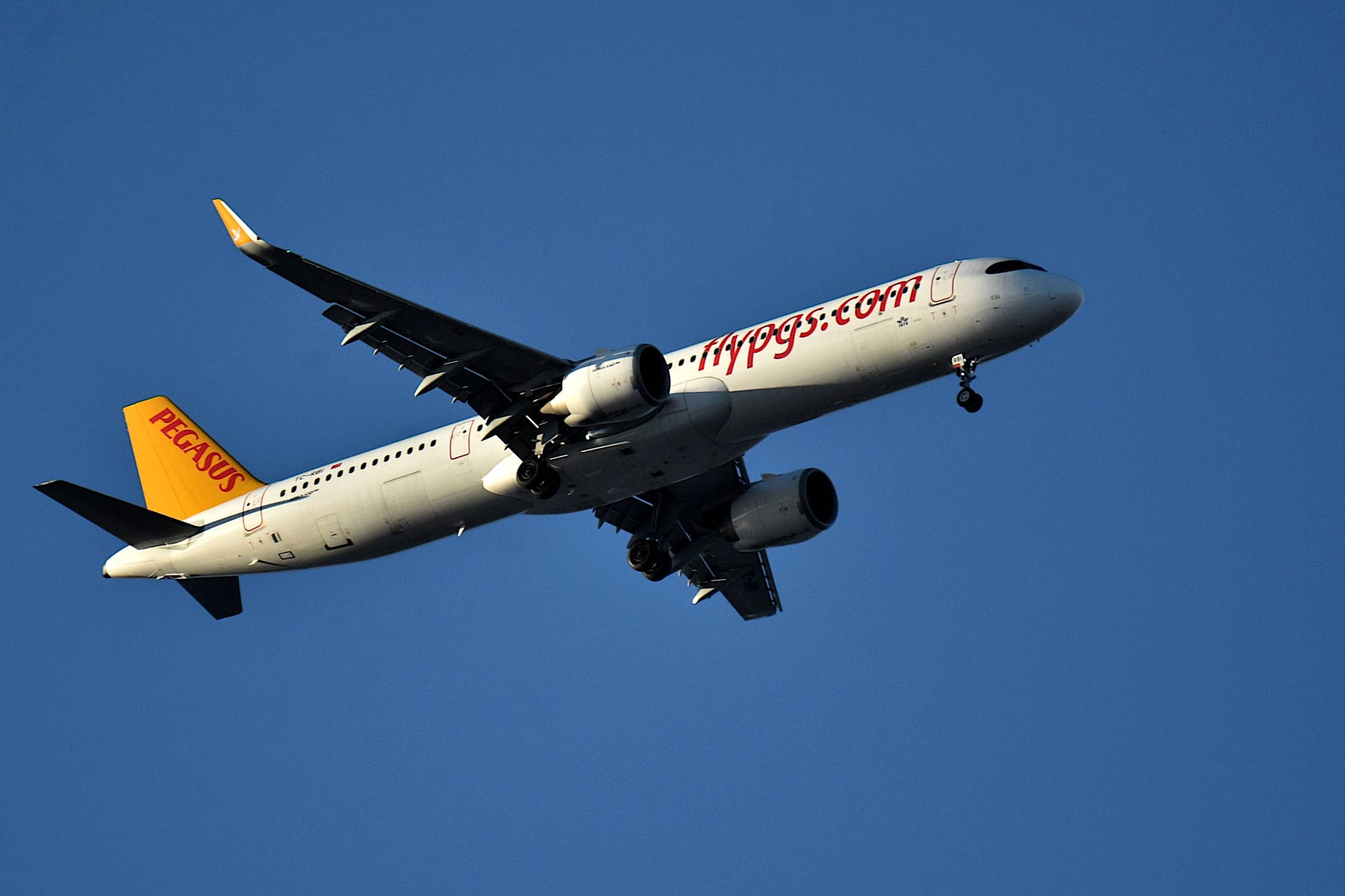 Ein Flugzeug von Pegasus Airlines (Archivbild): Ab dem Sommerflugplan 2025 fliegt die Airline von Dortmund aus ein weiteres beliebtes Urlaubsziel in der Türkei an.