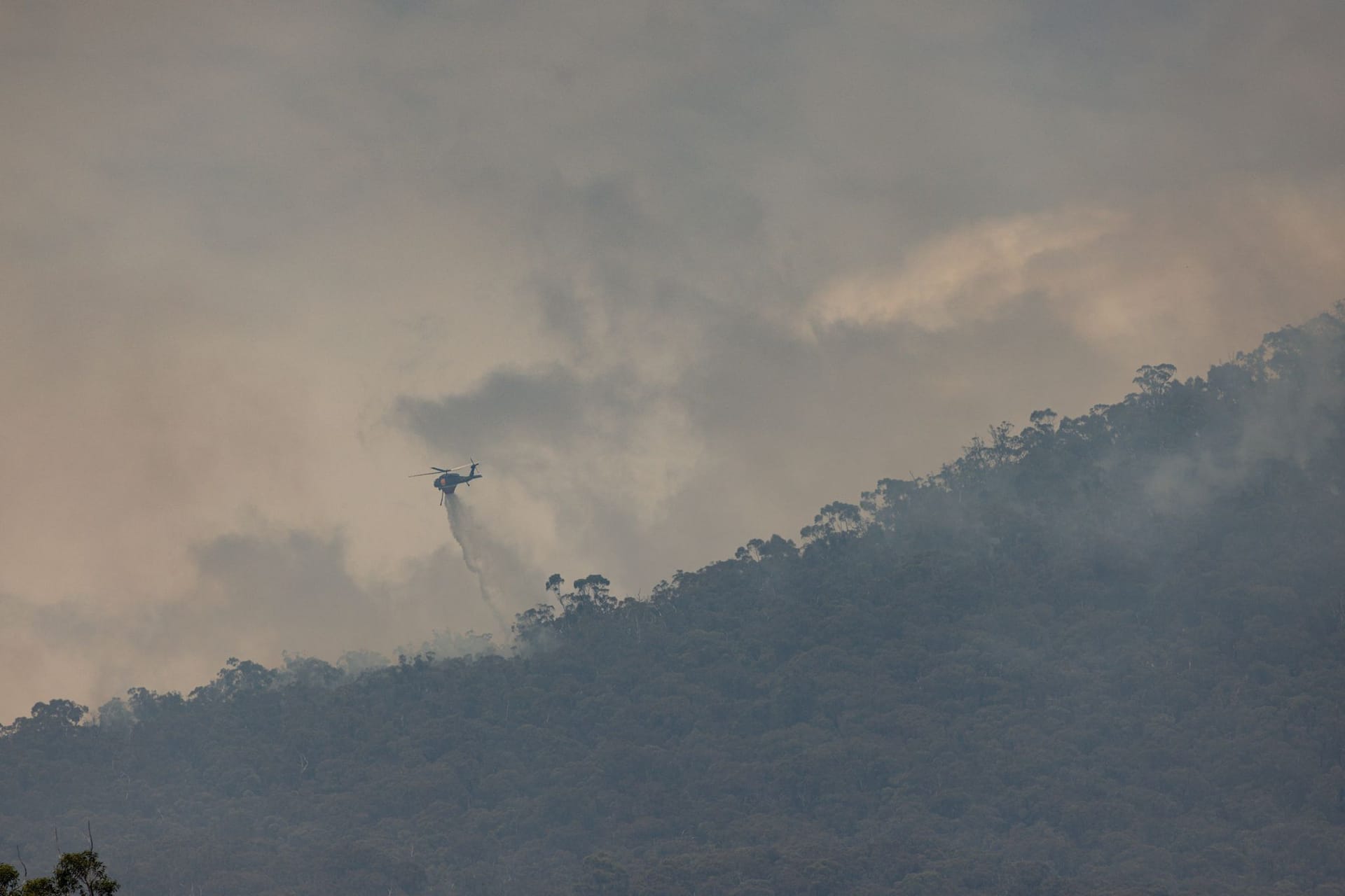 Feuerwehrleute bekämpfen Buschbrände in Halls Gap in der Region Grampians in Australien.