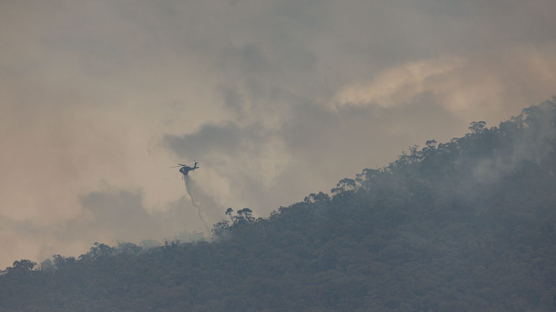 Feuerwehrleute bekämpfen Buschbrände in Halls Gap in der Region Grampians in Australien.