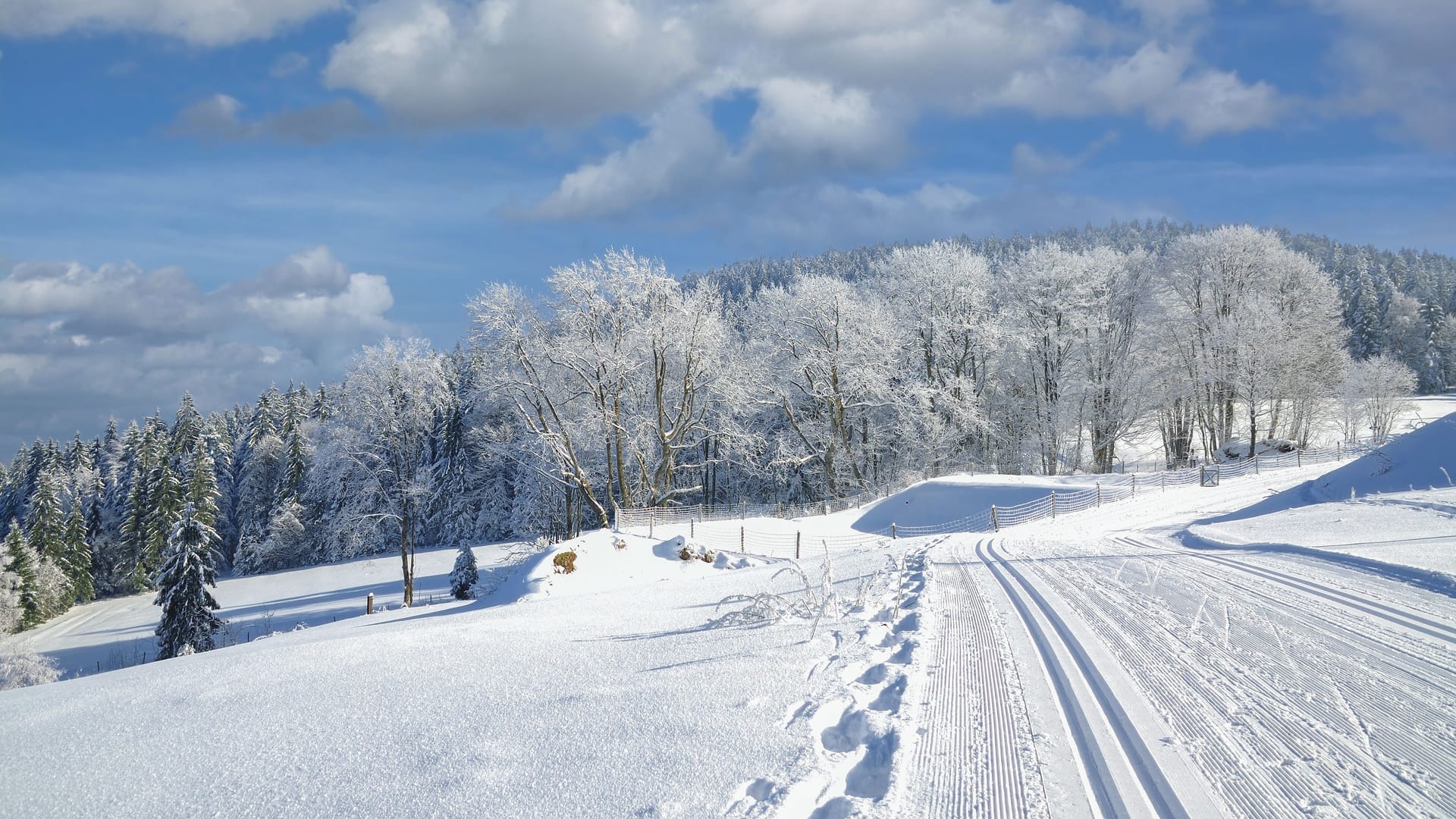 Verschneite bayerische Landschaft (Symbolfoto): Gibt es vor Weihnachten noch einen Wintereinbruch?