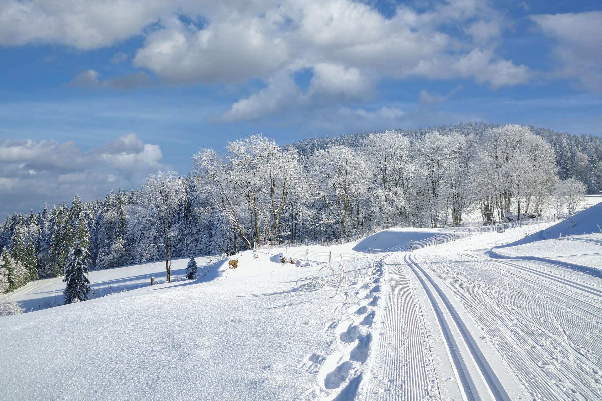 Verschneite bayerische Landschaft (Symbolfoto): Gibt es vor Weihnachten noch einen Wintereinbruch?