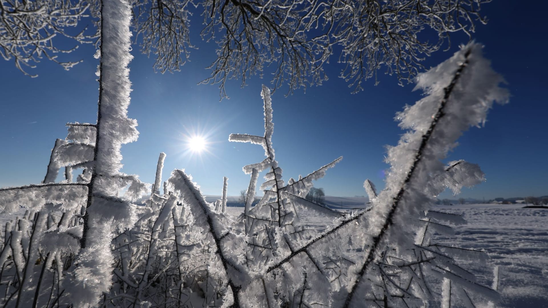 Sonne, Frost und Schnee in Südbayern