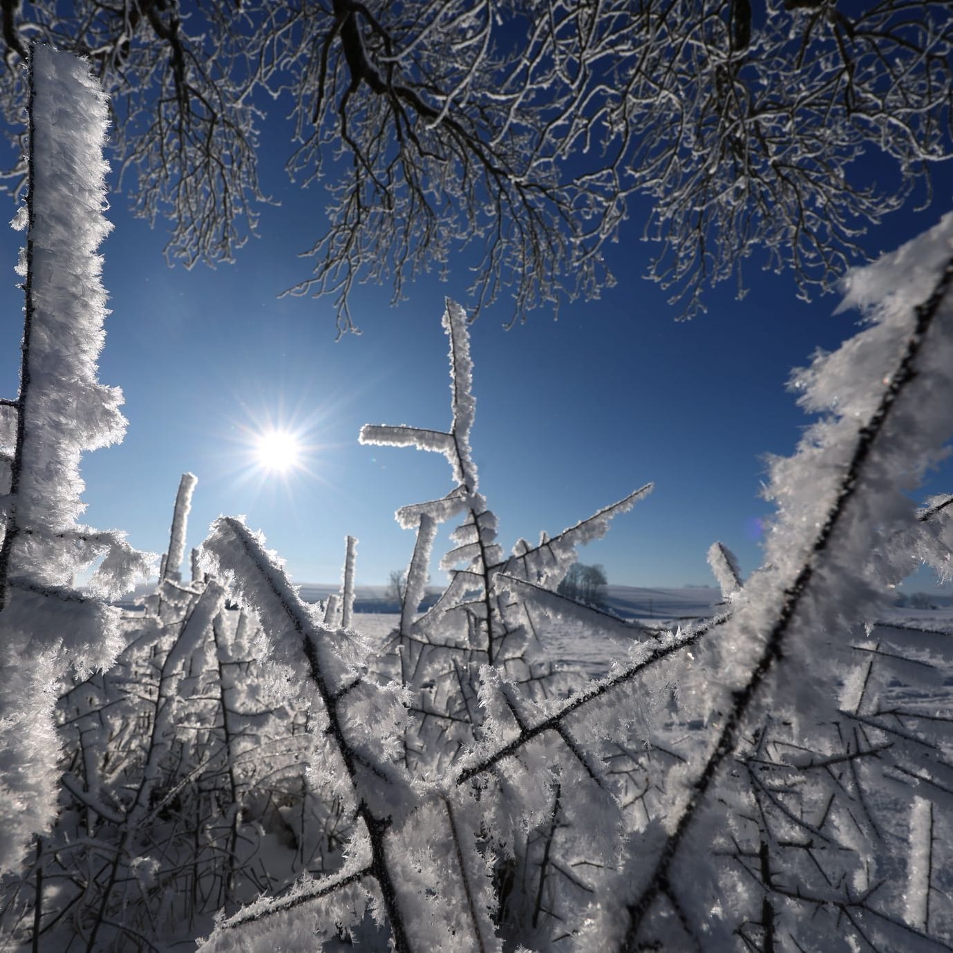 Sonne, Frost und Schnee in Südbayern