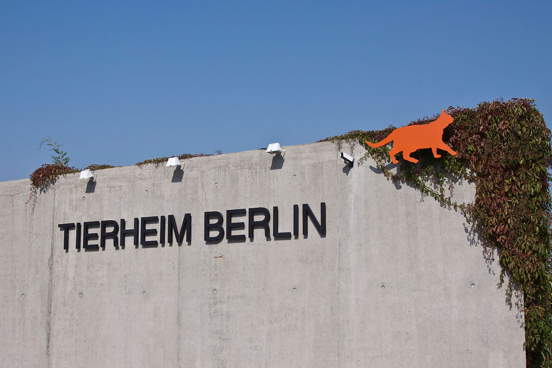 Tierheim Berlin in Lichtenberg (Symbolbild): Im Berliner Tierheim sind Tauben an der Newcastle-Krankheit gestorben.