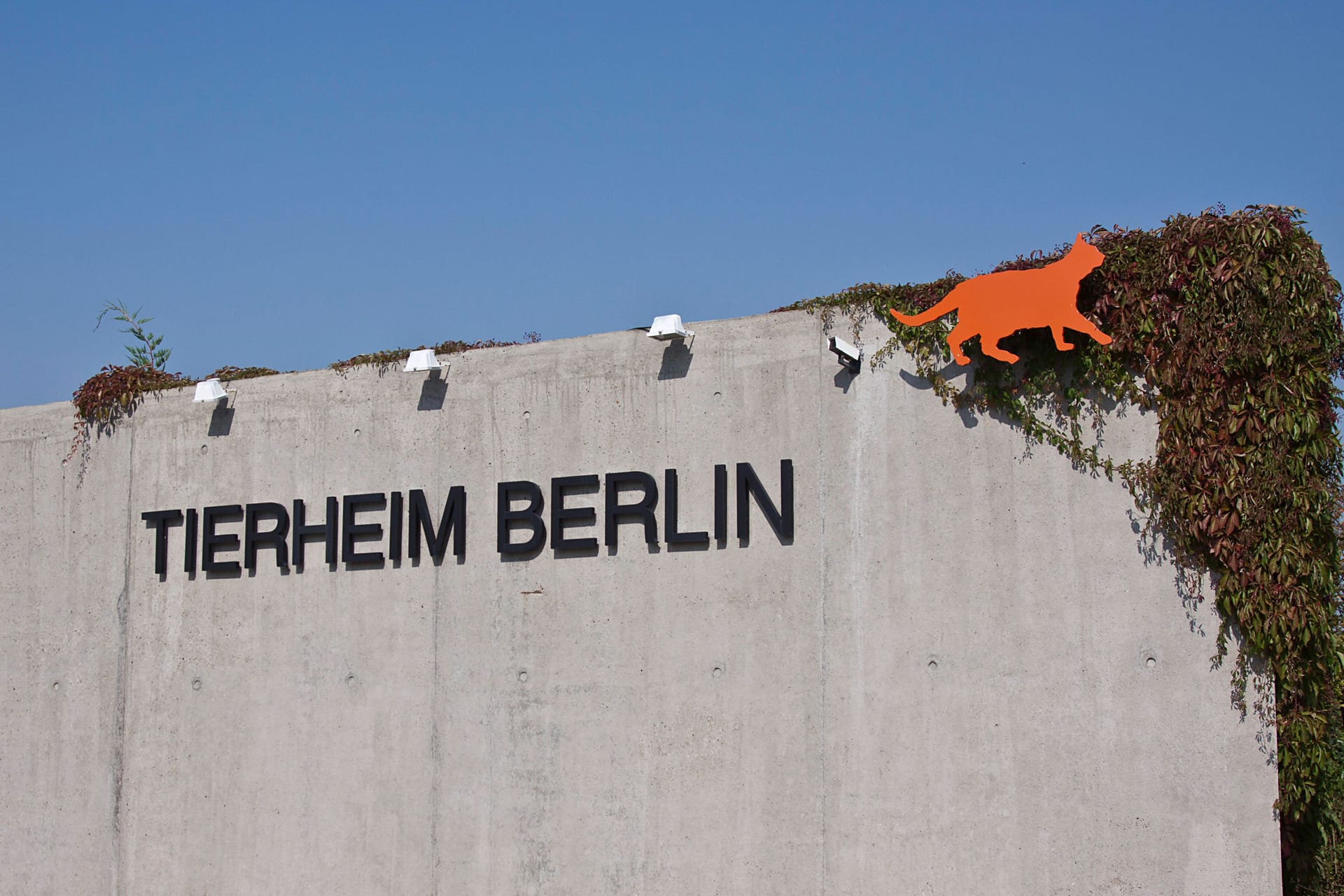 Tierheim Berlin in Lichtenberg (Symbolbild): Im Berliner Tierheim sind Tauben an der Newcastle-Krankheit gestorben.