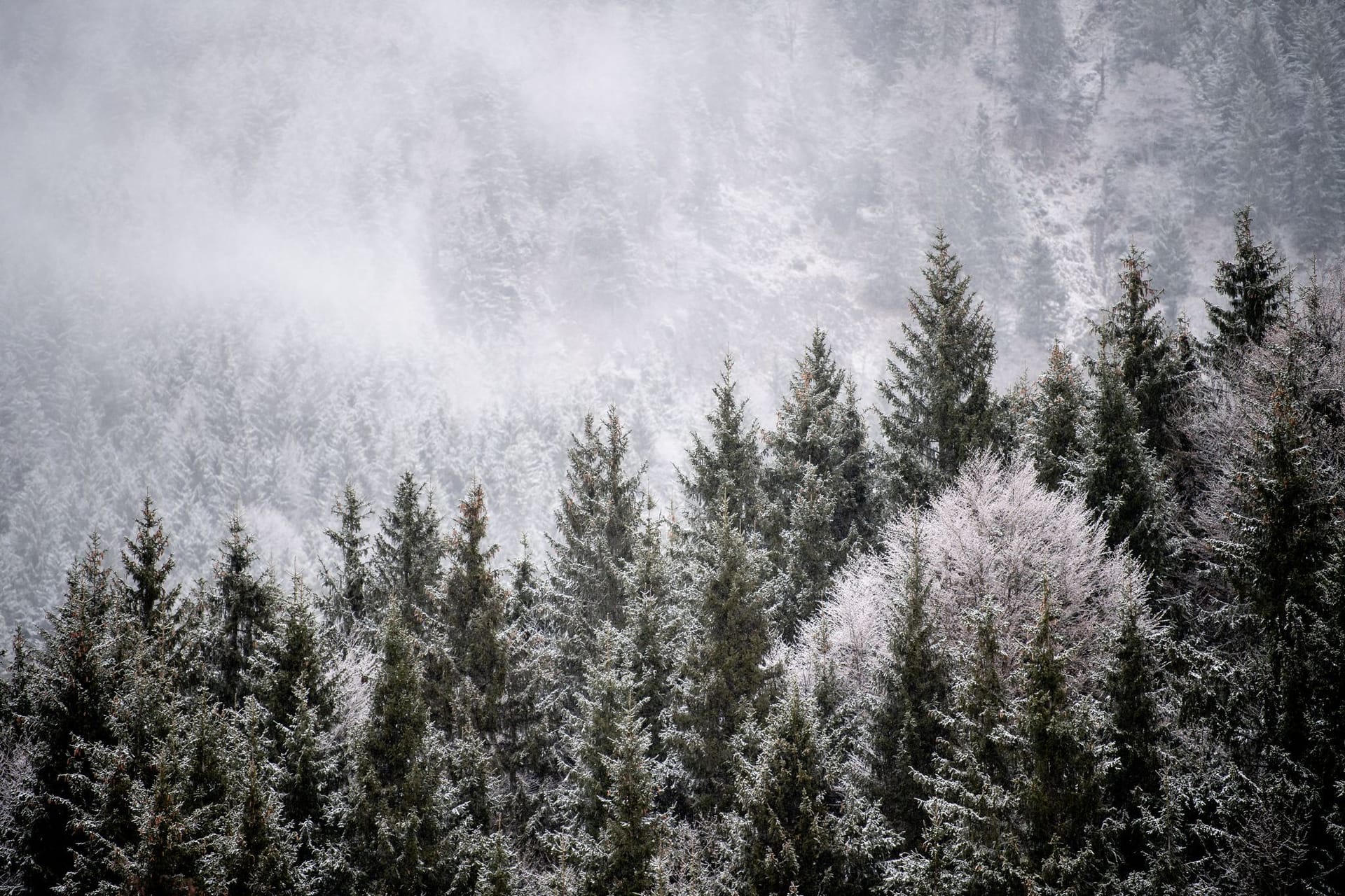 Wintereinbruch in Bayern