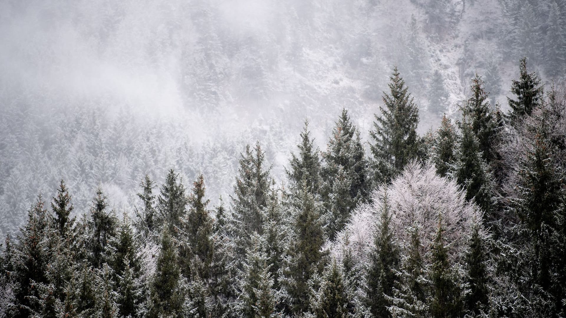 Wintereinbruch in Bayern