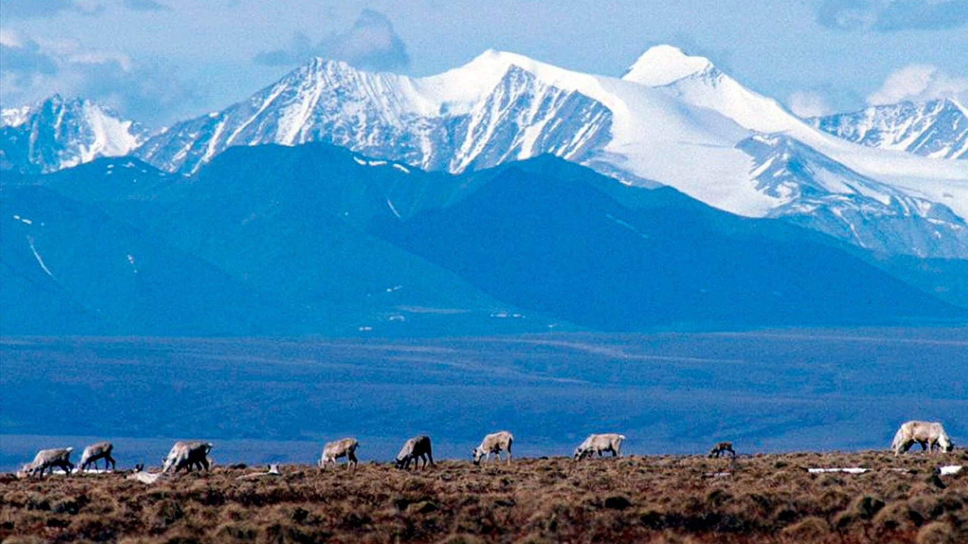 Natur in Alaska