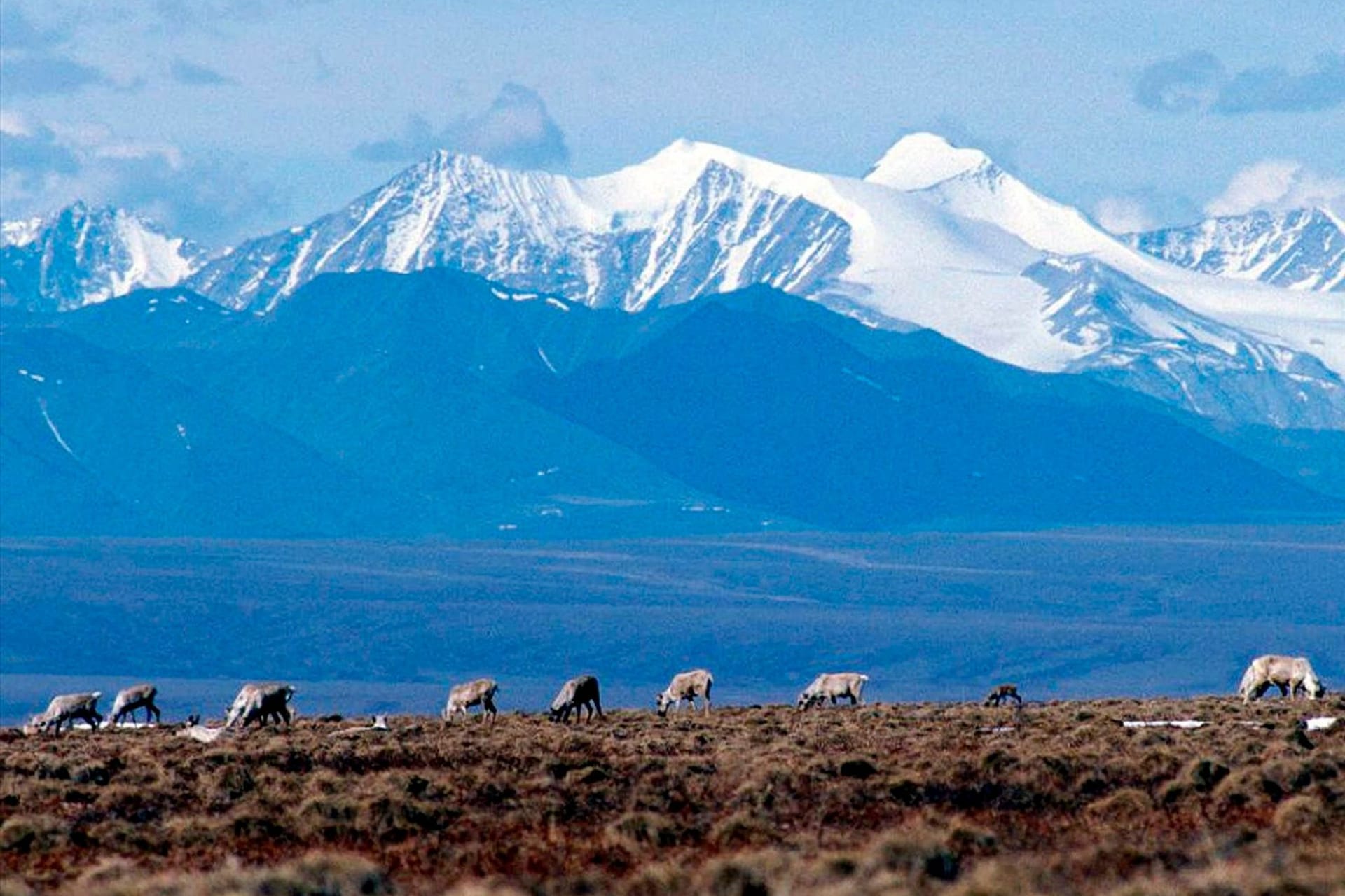 Natur in Alaska