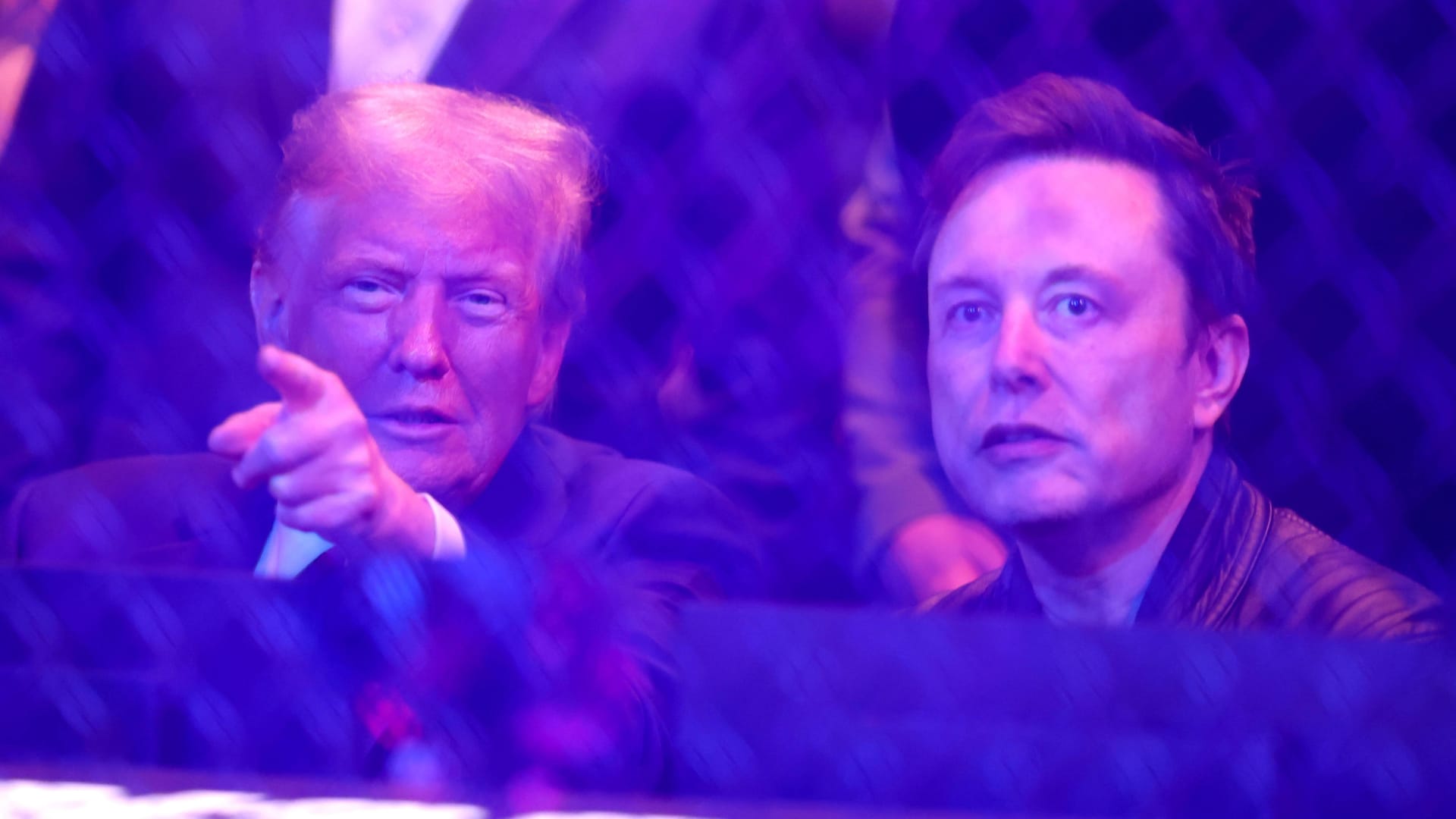 Trump und Musk bei einer Mixed-Martial-Arts-Kampfveranstaltung (Archivbild): Zuletzt hatten Trump-Anhänger Musk scharf kritisiert.