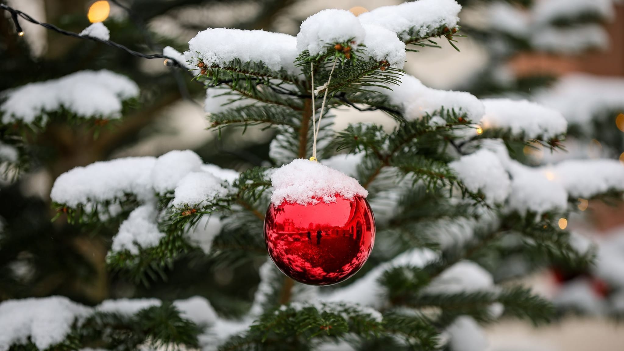 Wie stehen die Chancen für weiße Weihnachten?