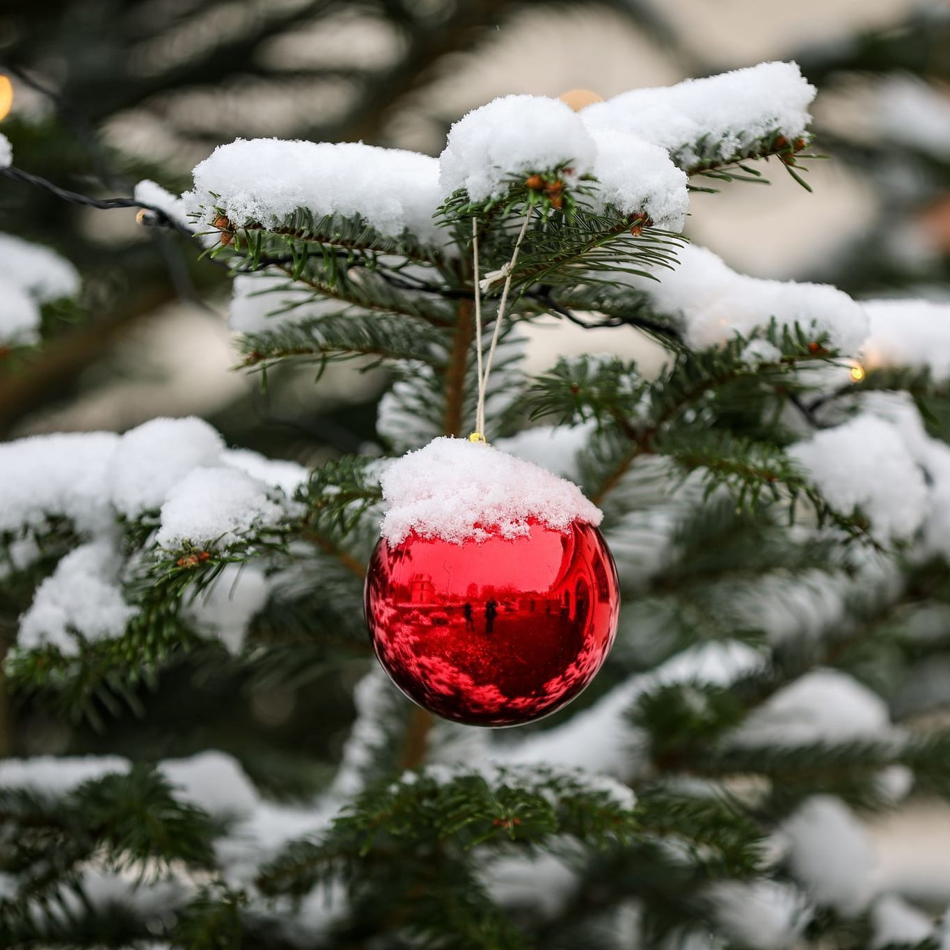 Wie stehen die Chancen für weiße Weihnachten?