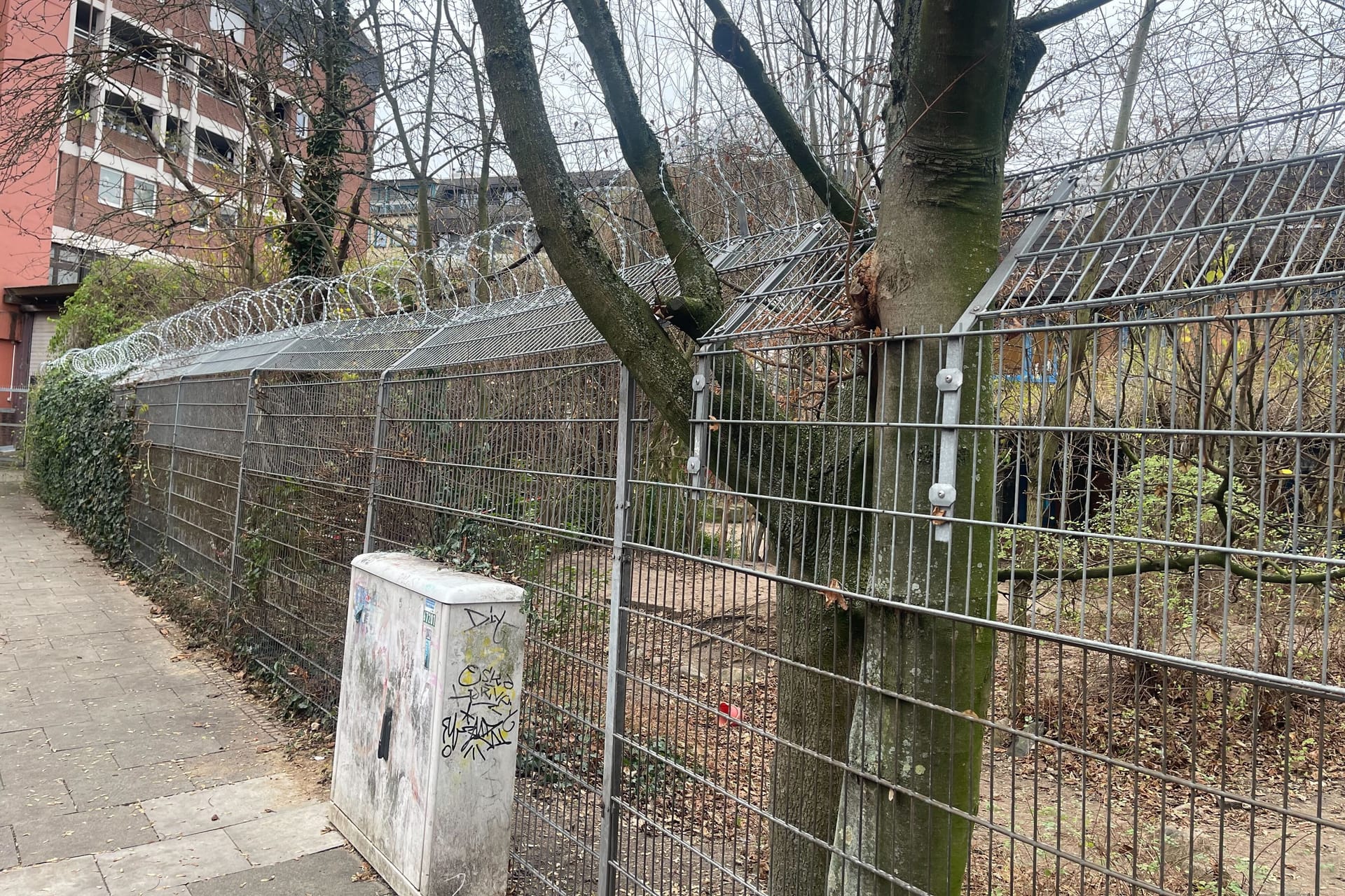 Hoher Zaun mit Stacheldraht: Die Kita in Hamburg-St. Georg weiß sich anders nicht zu helfen.