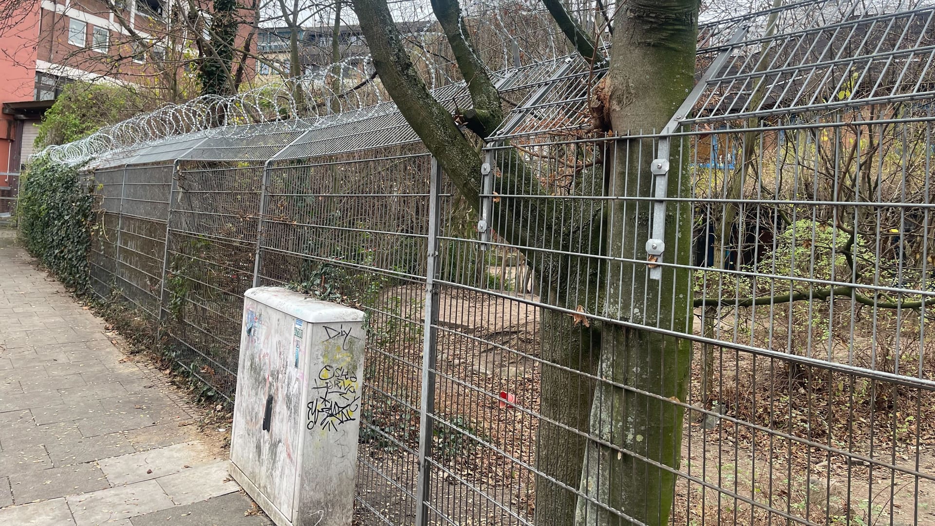 Hoher Zaun mit Stacheldraht: Die Kita in Hamburg-St. Georg weiß sich anders nicht zu helfen.