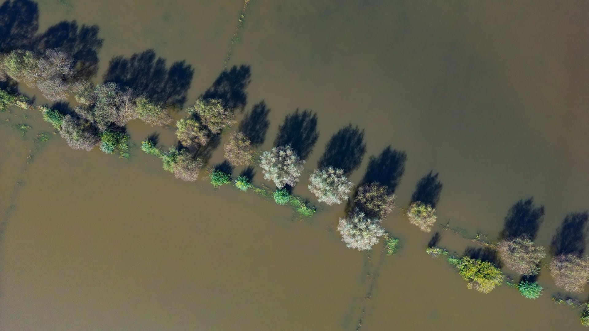 Hochwasser in Brandenburg