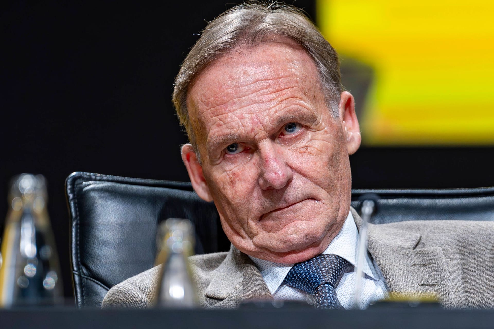 BVB-Geschäftsführer Hans-Joachim Watzke: Der Funktionär ist auch politisch engagiert.