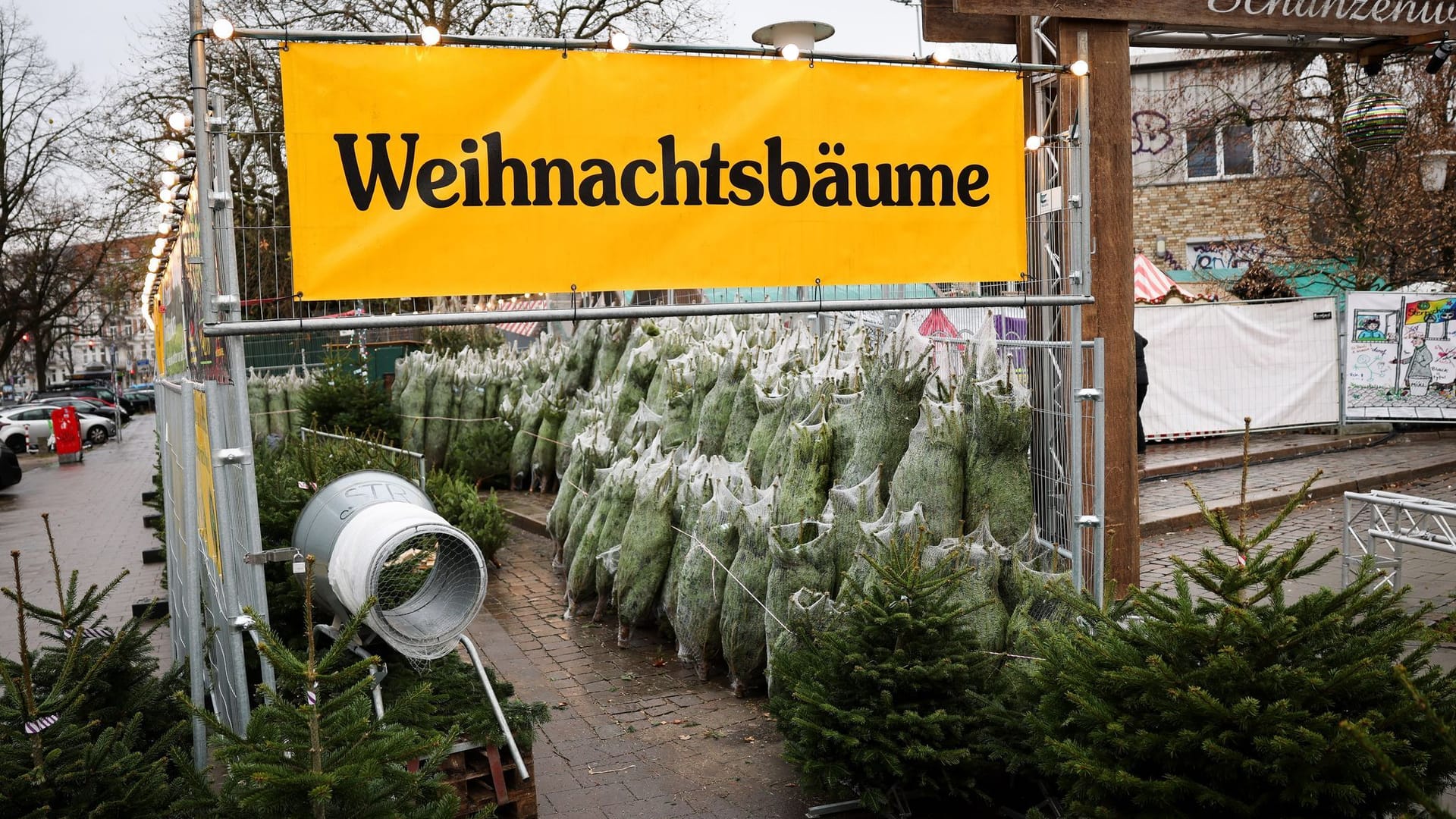 Weihnachtsbäume