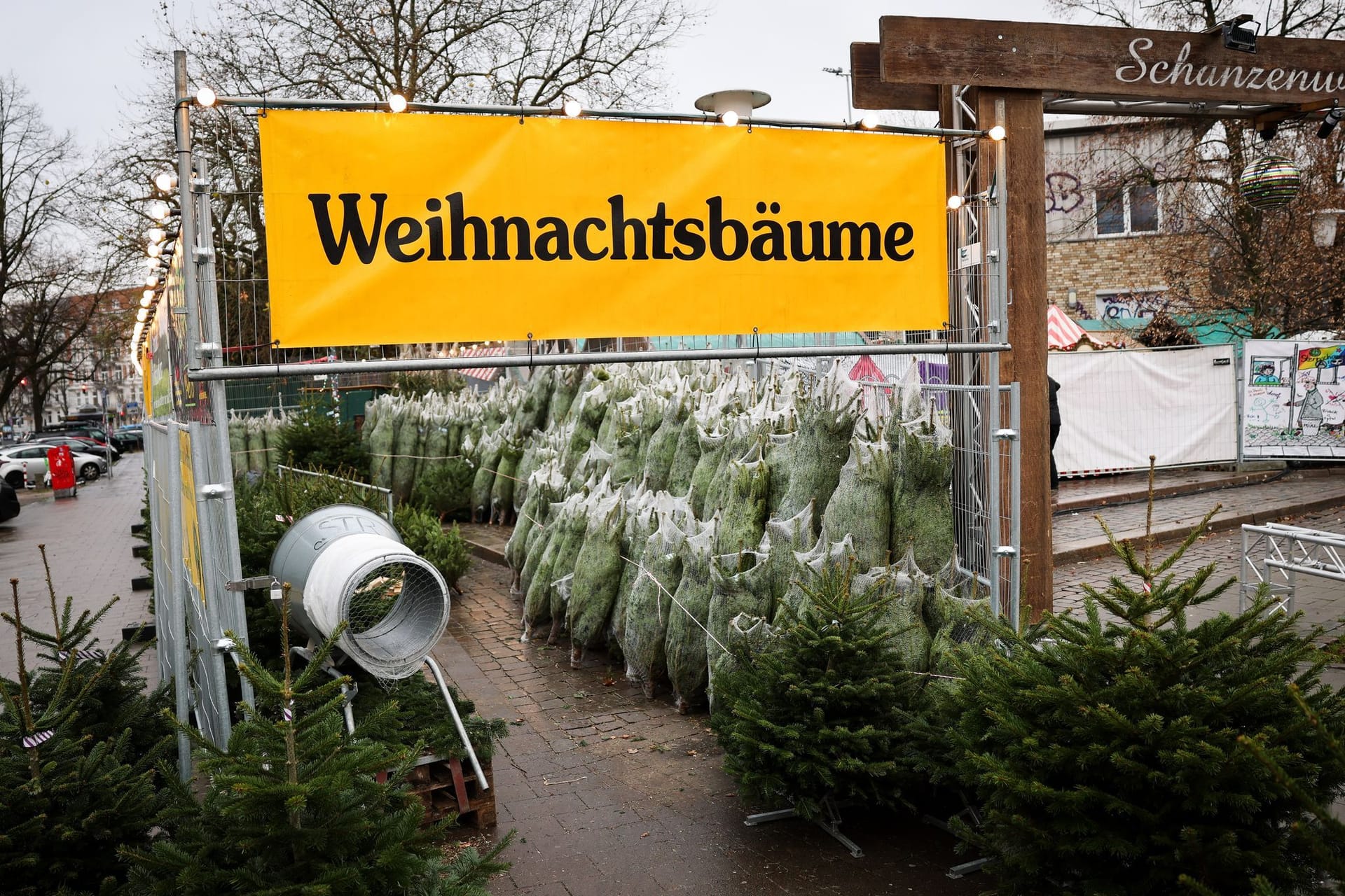 Weihnachtsbäume