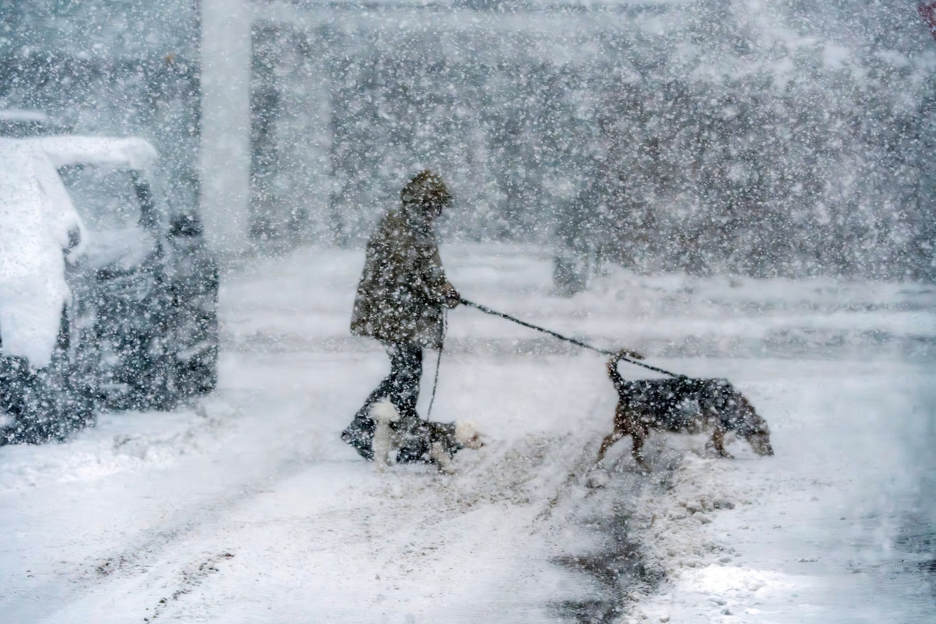 Eine Frau kämpft gegen einen Schneesturm: Eisige Polarluft aus dem Norden sorgt in Deutschland für einen dramatischen Wetterumbruch.