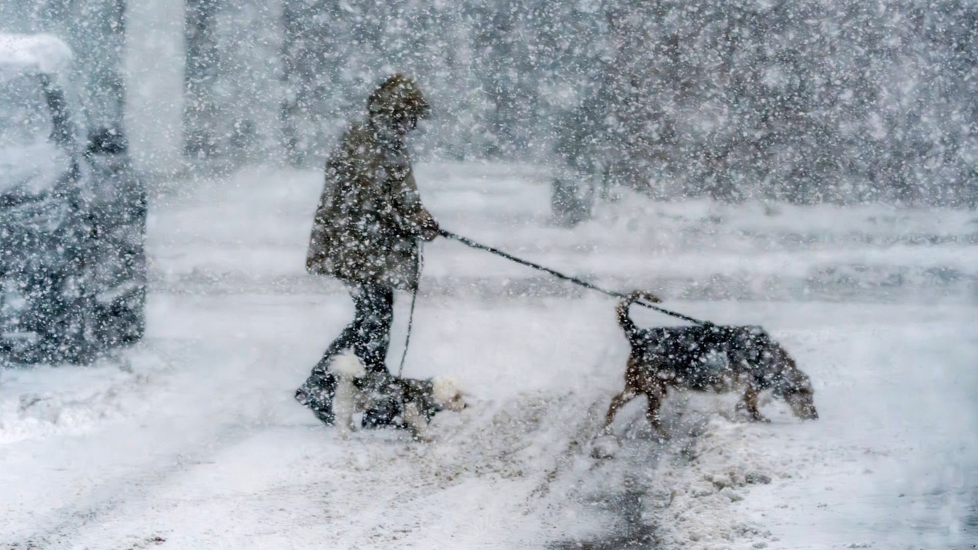 Eine Frau kämpft gegen einen Schneesturm: Eisige Polarluft aus dem Norden sorgt in Deutschland für einen dramatischen Wetterumbruch.