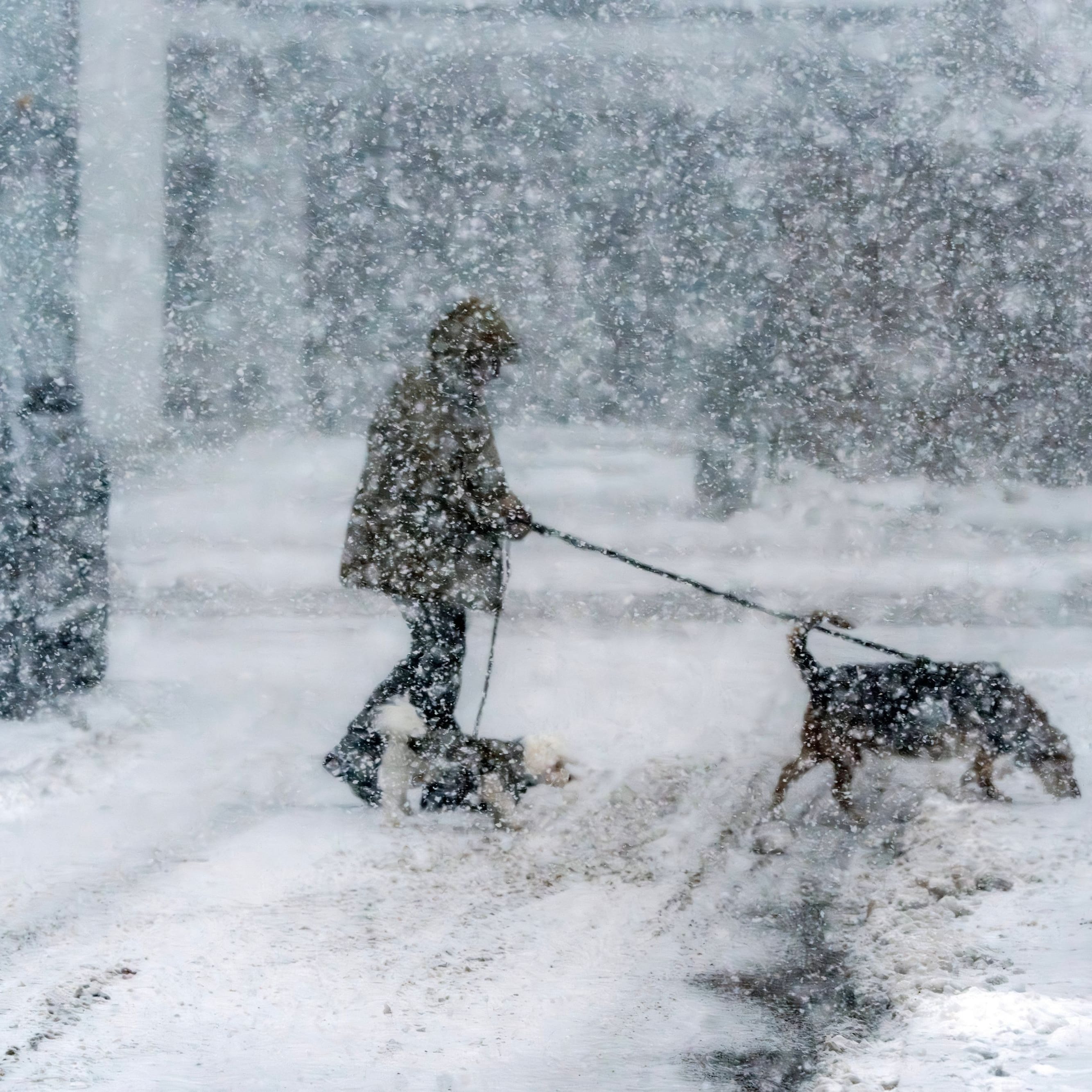 Eine Frau kämpft gegen einen Schneesturm: Eisige Polarluft aus dem Norden sorgt in Deutschland für einen dramatischen Wetterumbruch.