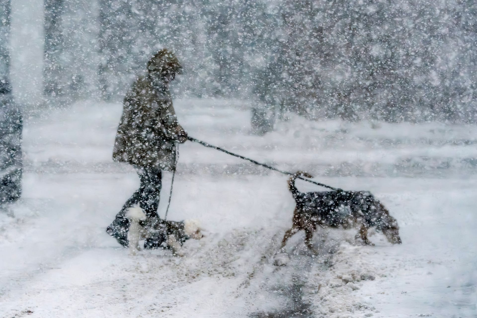 Eine Frau kämpft gegen einen Schneesturm: Eisige Polarluft aus dem Norden sorgt in Deutschland für einen dramatischen Wetterumbruch.