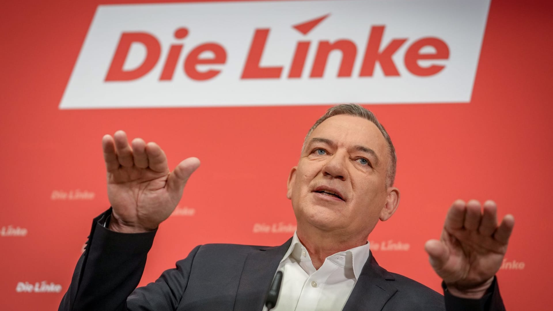 Wahlprogramm Linke