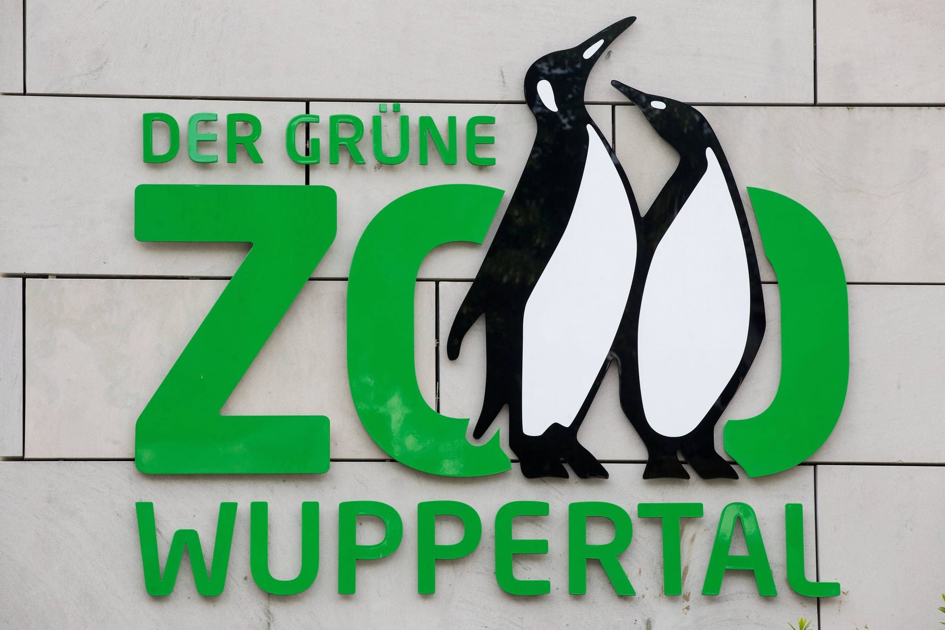 Der Grüne Zoo Wuppertal: Dieses Jahr wurde kostenloser Eintritt für alle Besucher bis 14 Jahren eingeführt.