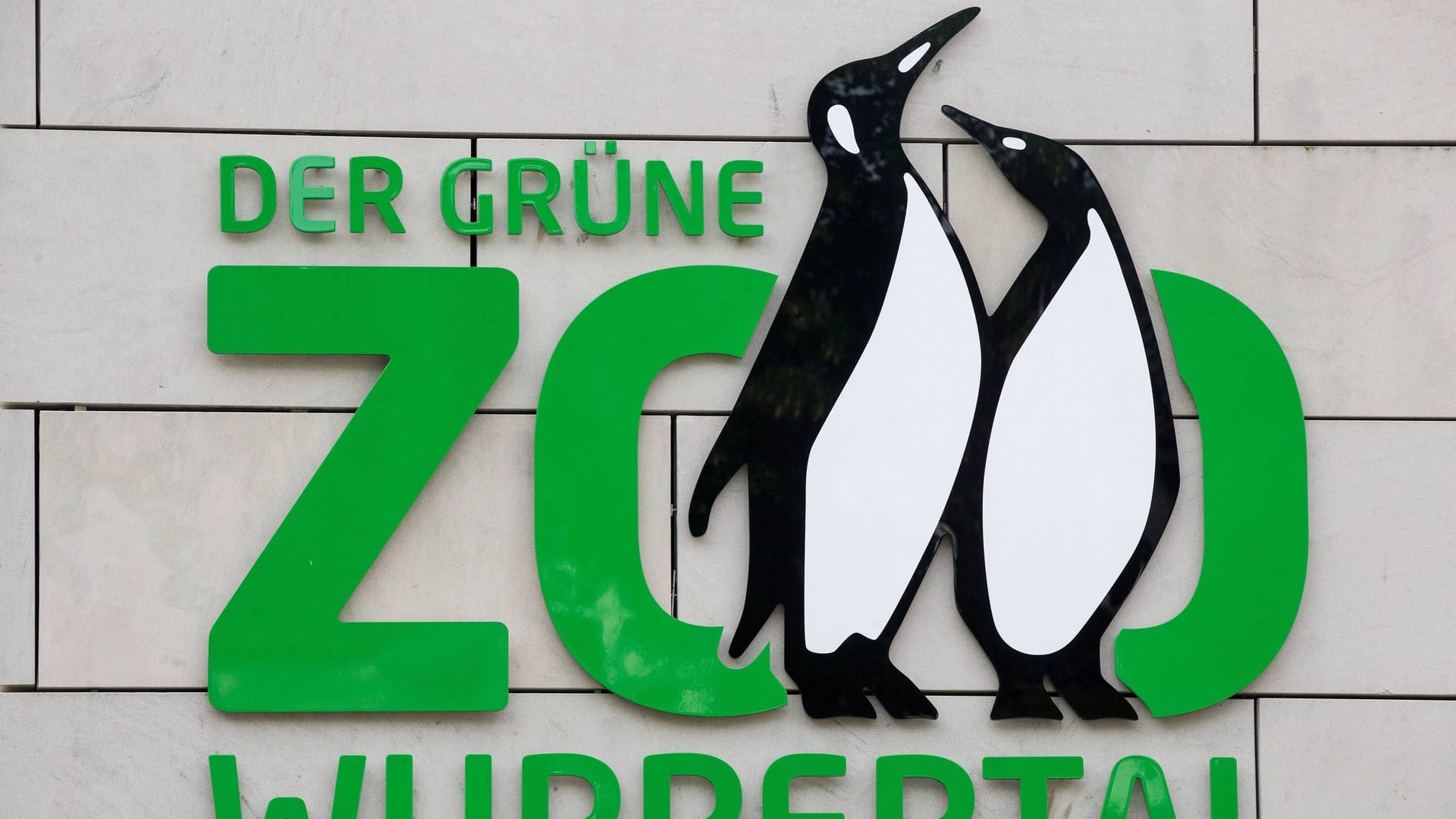 Der Grüne Zoo Wuppertal: Dieses Jahr wurde kostenloser Eintritt für alle Besucher bis 14 Jahren eingeführt.