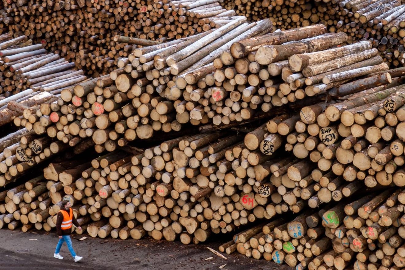 Plößberg: Holzstämme liegen auf dem Gelände des Sägewerks der Ziegler Group.