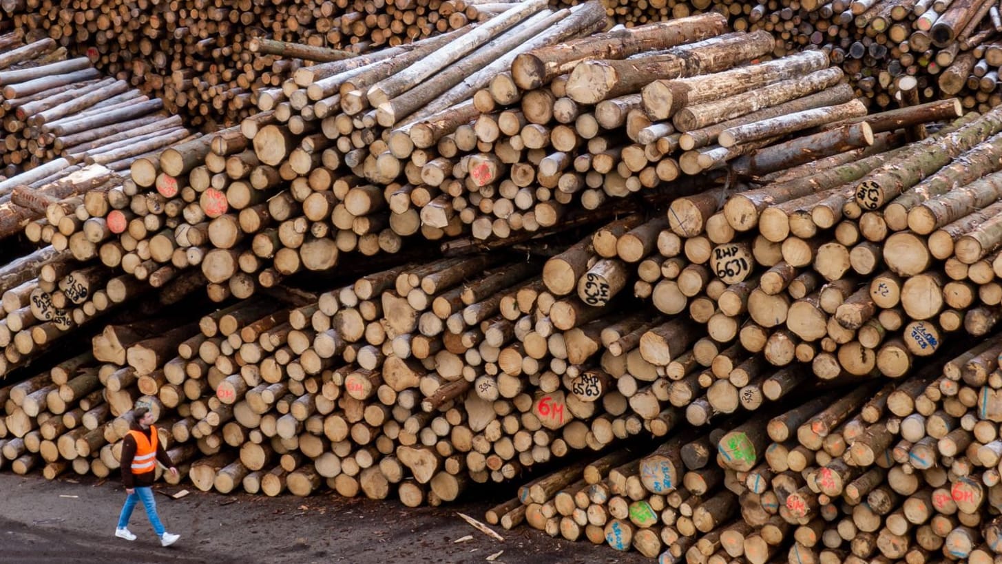 Plößberg: Holzstämme liegen auf dem Gelände des Sägewerks der Ziegler Group.