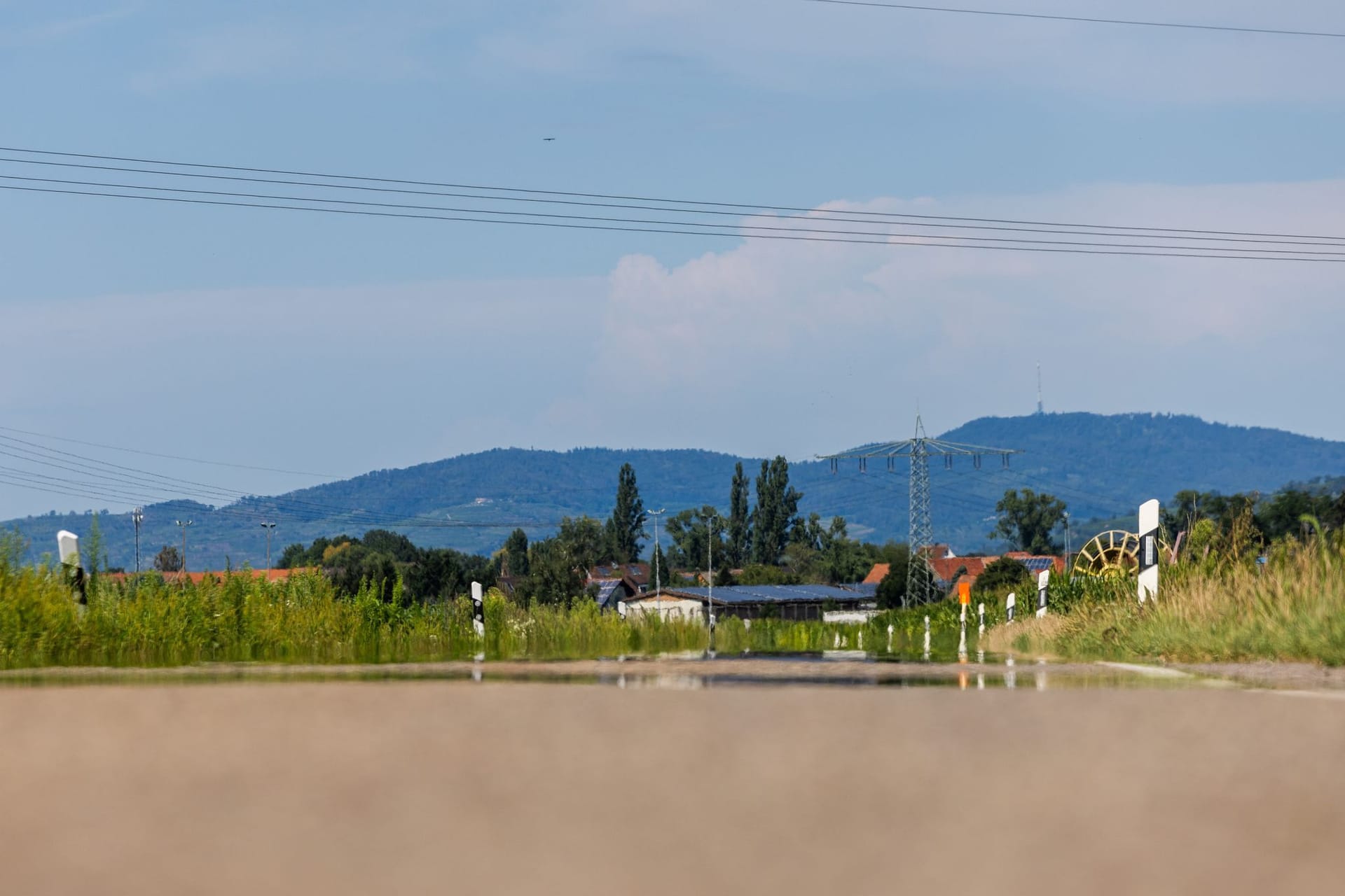 Sommerwetter in Baden-Württemberg - Freiburg