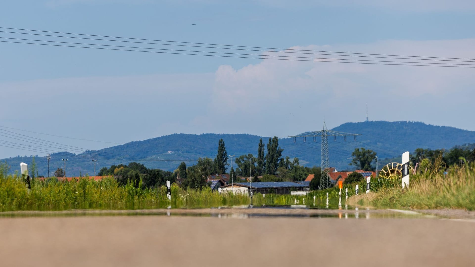 Sommerwetter in Baden-Württemberg - Freiburg