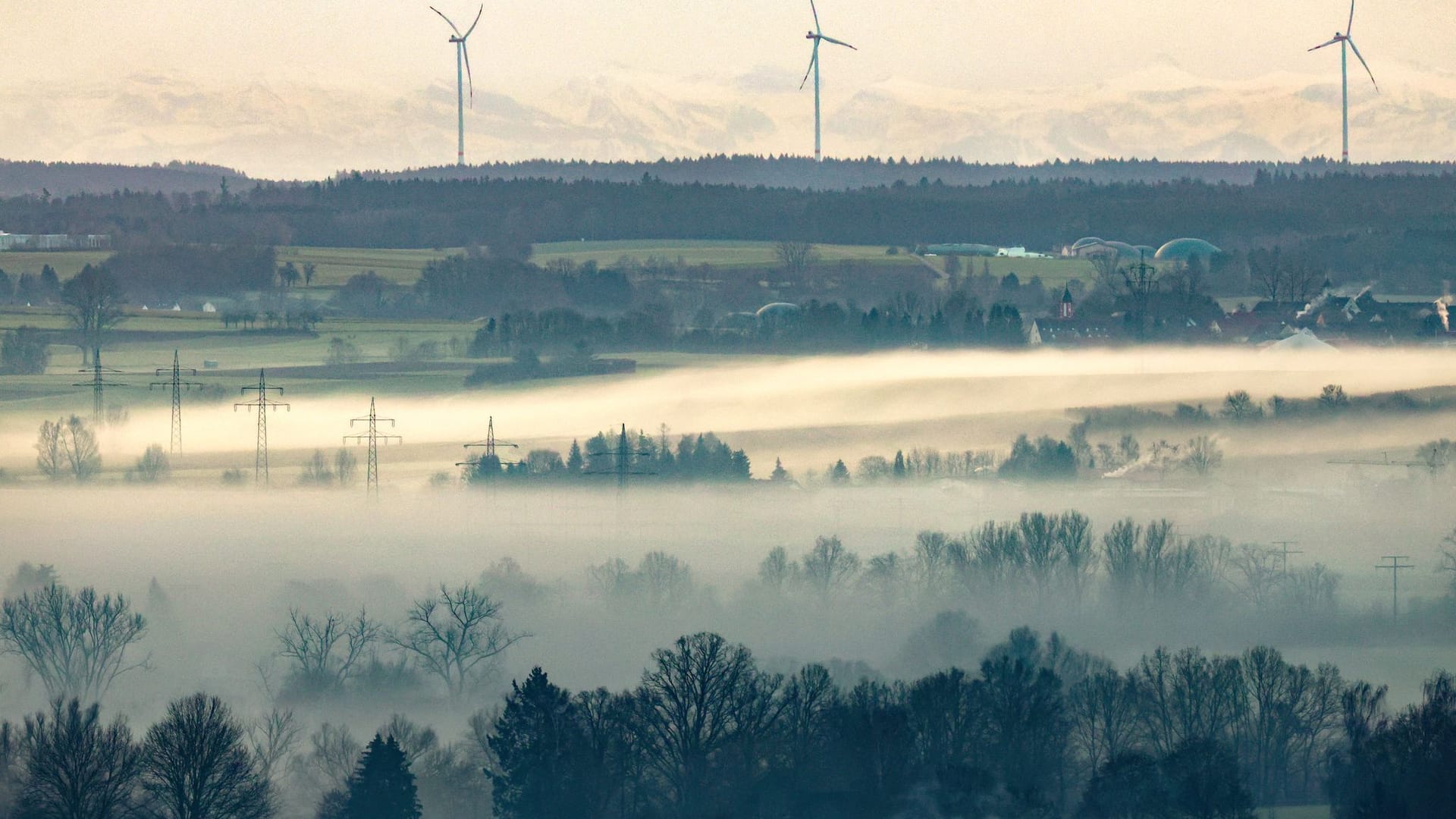 Morgennebel