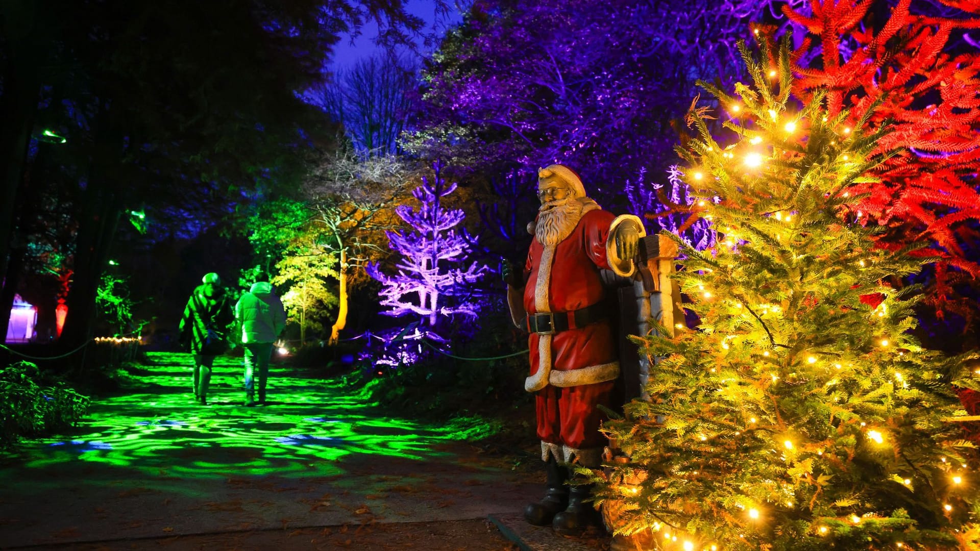 Besucher sind unter den Lichtinstallationen im "Christmas Garden" im Loki-Schmidt-Garten unterwegs: Die Meinungen zur Lichtshow sind geteilt.