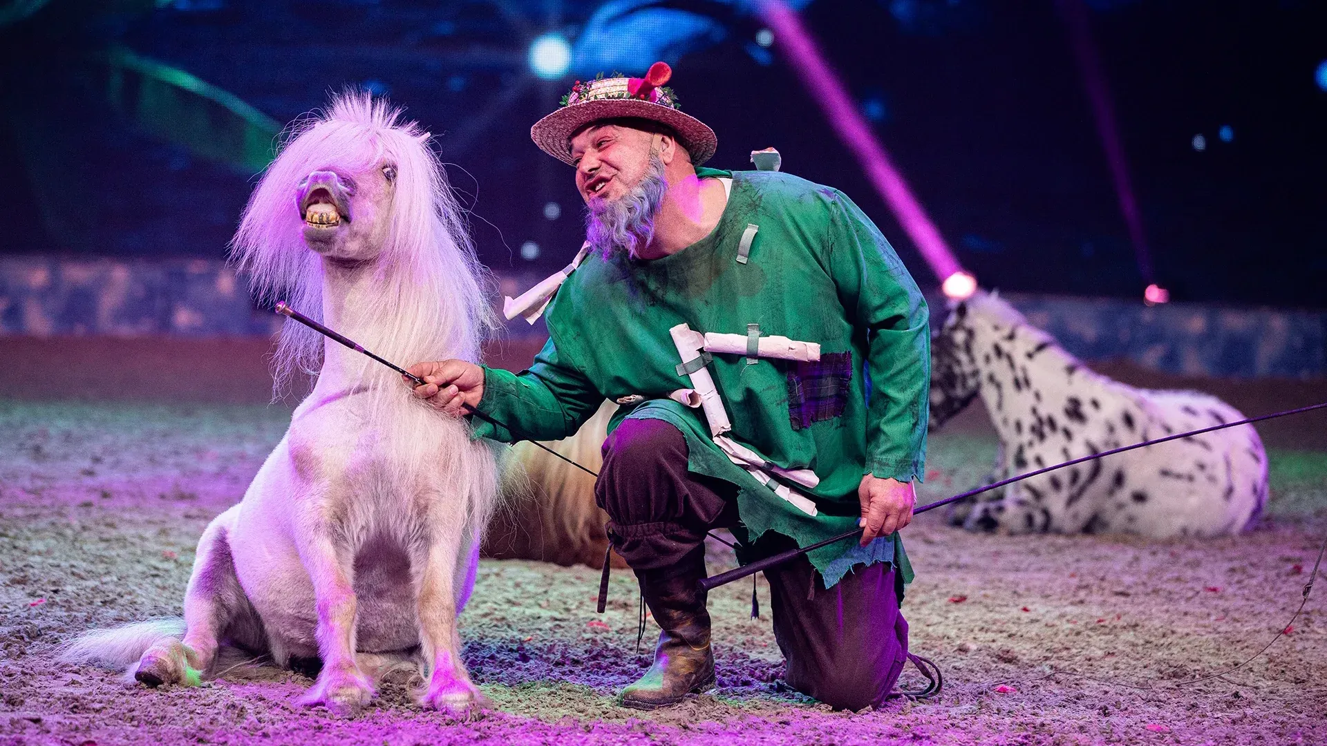 Beim "Cavalluna Kids – WinterWünscheLand" sind unter anderem Miniponys Teil der Show.