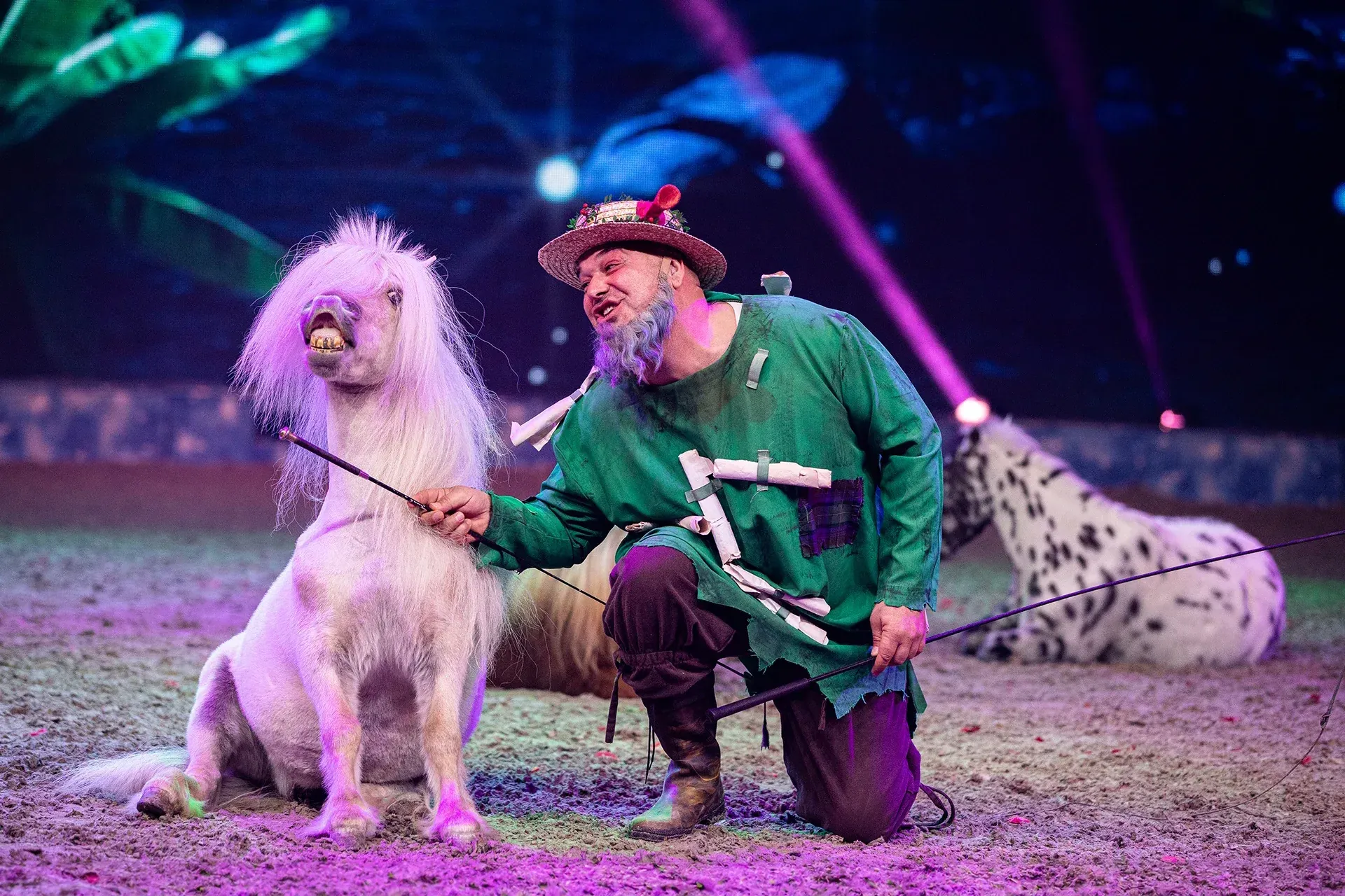 Beim "Cavalluna Kids – WinterWünscheLand" sind unter anderem Miniponys Teil der Show.