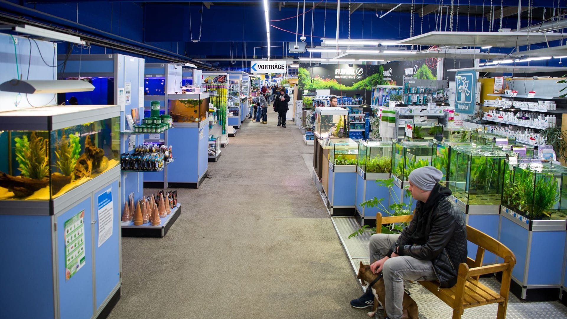 Mehrere Aquarien mit Wasserpflanzen und Fischen stehen im Zoogeschäft Zajac in Duisburg.