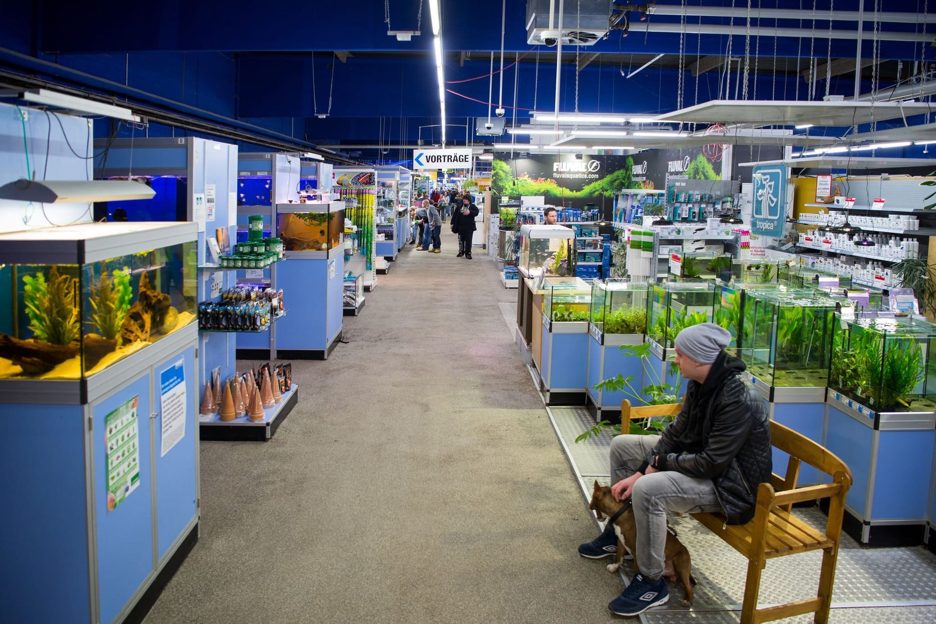 Mehrere Aquarien mit Wasserpflanzen und Fischen stehen im Zoogeschäft Zajac in Duisburg.