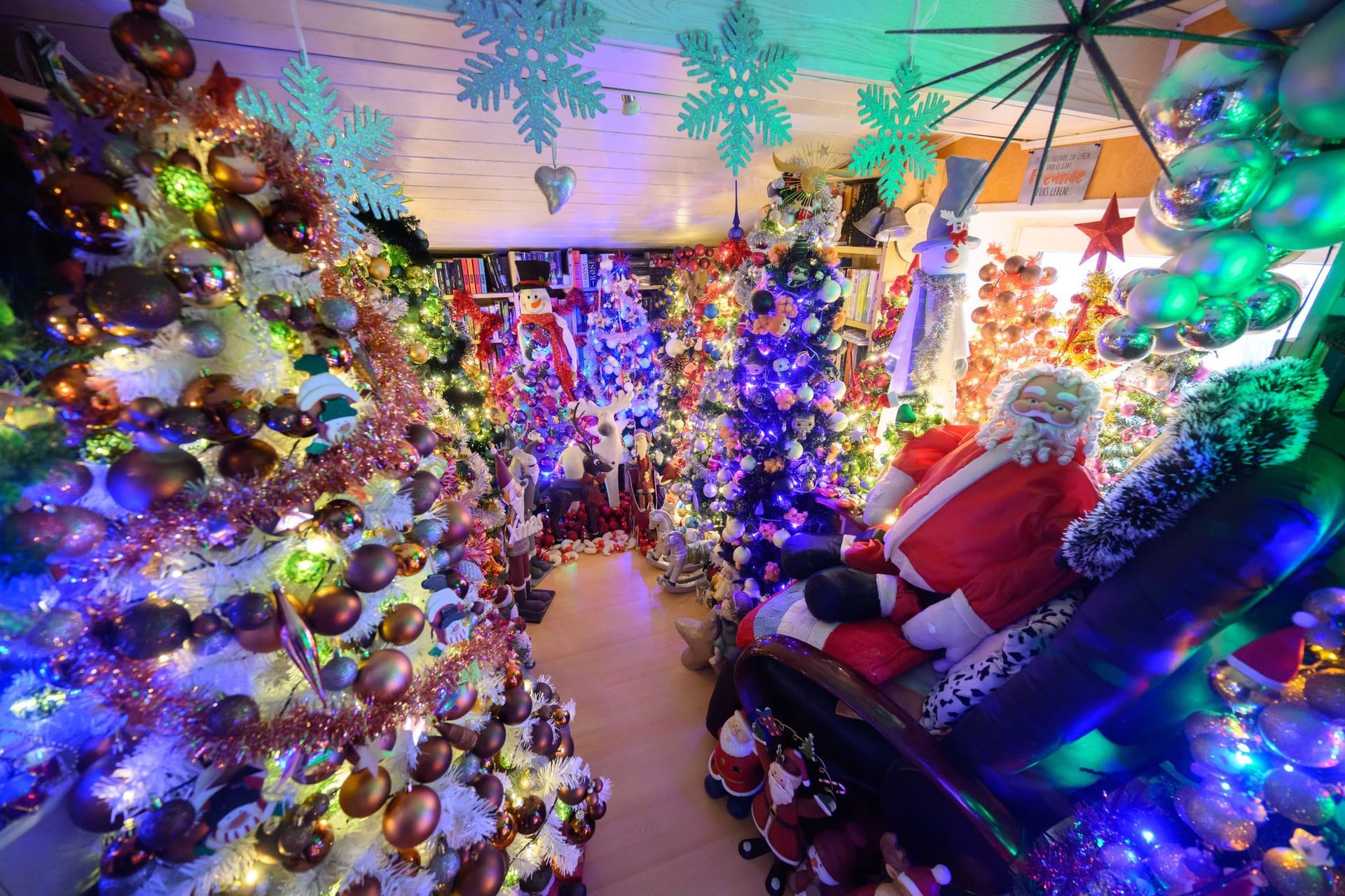 Familie schmückt Haus mit 600 Weihnachtsbäumen