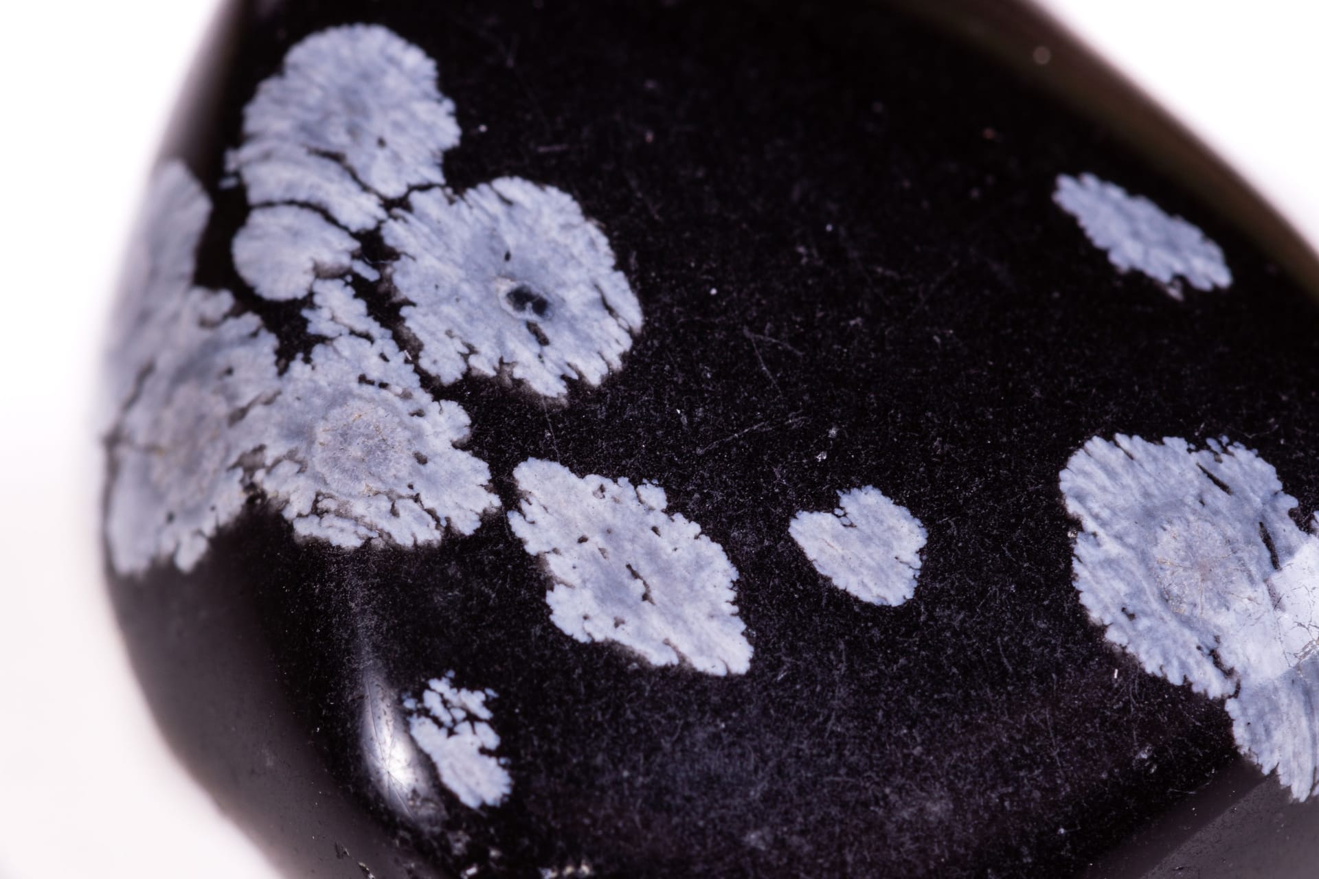 Macro mineral stone snow obsidian on white background